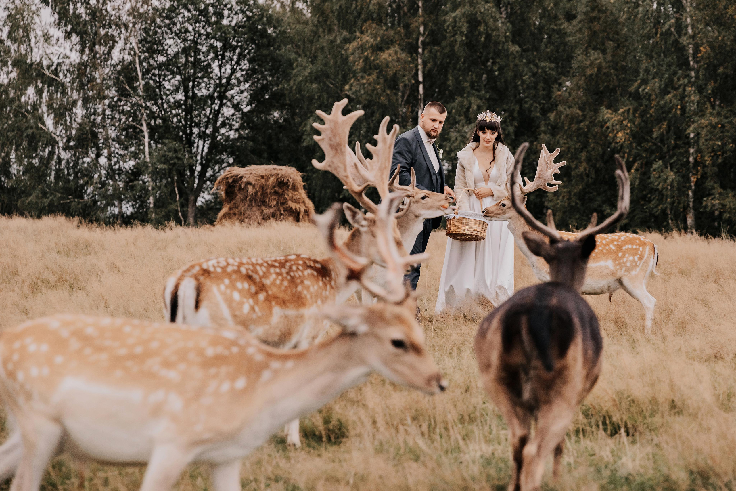 Justīne & Ivars. ФОТОГРАФ |ЛАТВИЯ | ДАУГАВПИЛС|