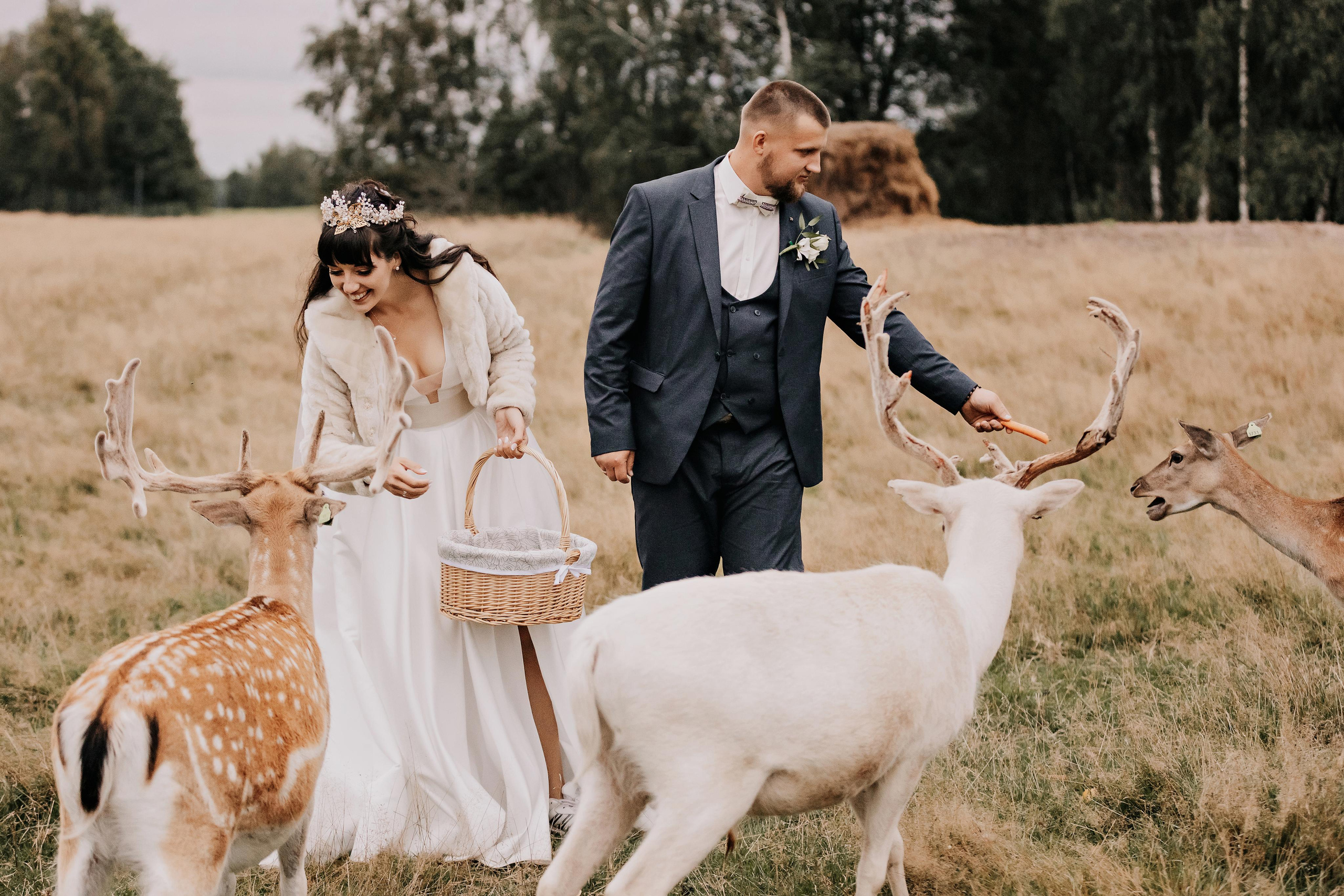 Justīne & Ivars. ФОТОГРАФ |ЛАТВИЯ | ДАУГАВПИЛС|