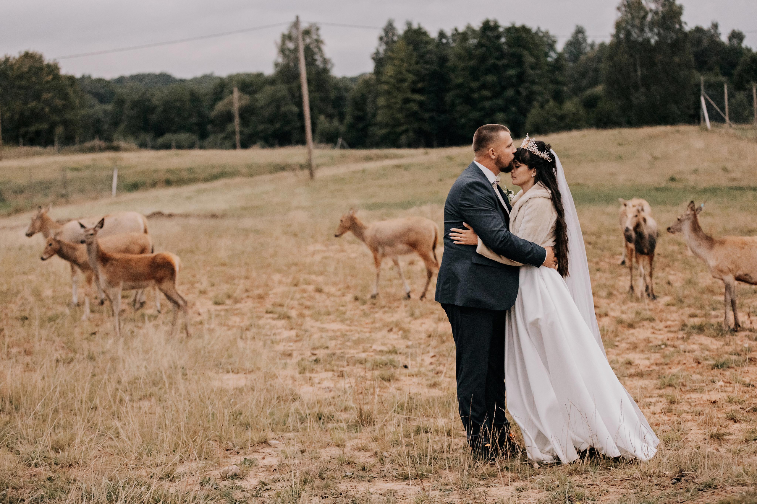 Justīne & Ivars. ФОТОГРАФ |ЛАТВИЯ | ДАУГАВПИЛС|