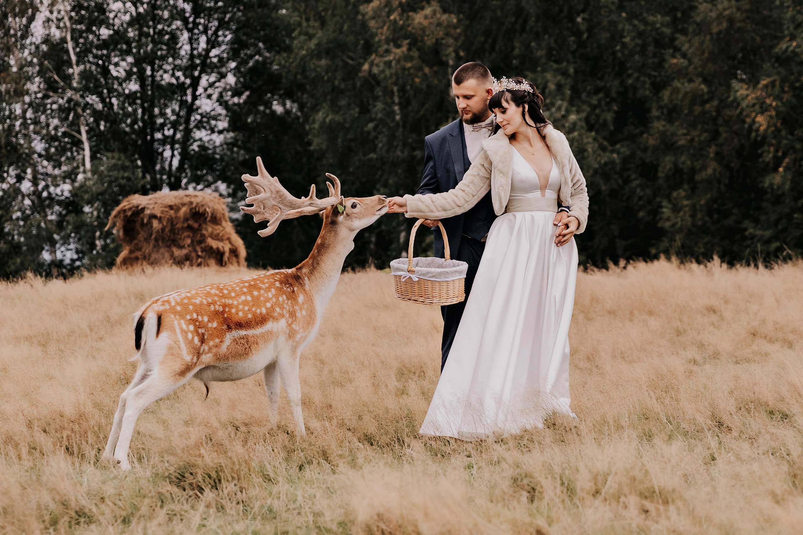 Justīne & Ivars. ФОТОГРАФ |ЛАТВИЯ | ДАУГАВПИЛС|