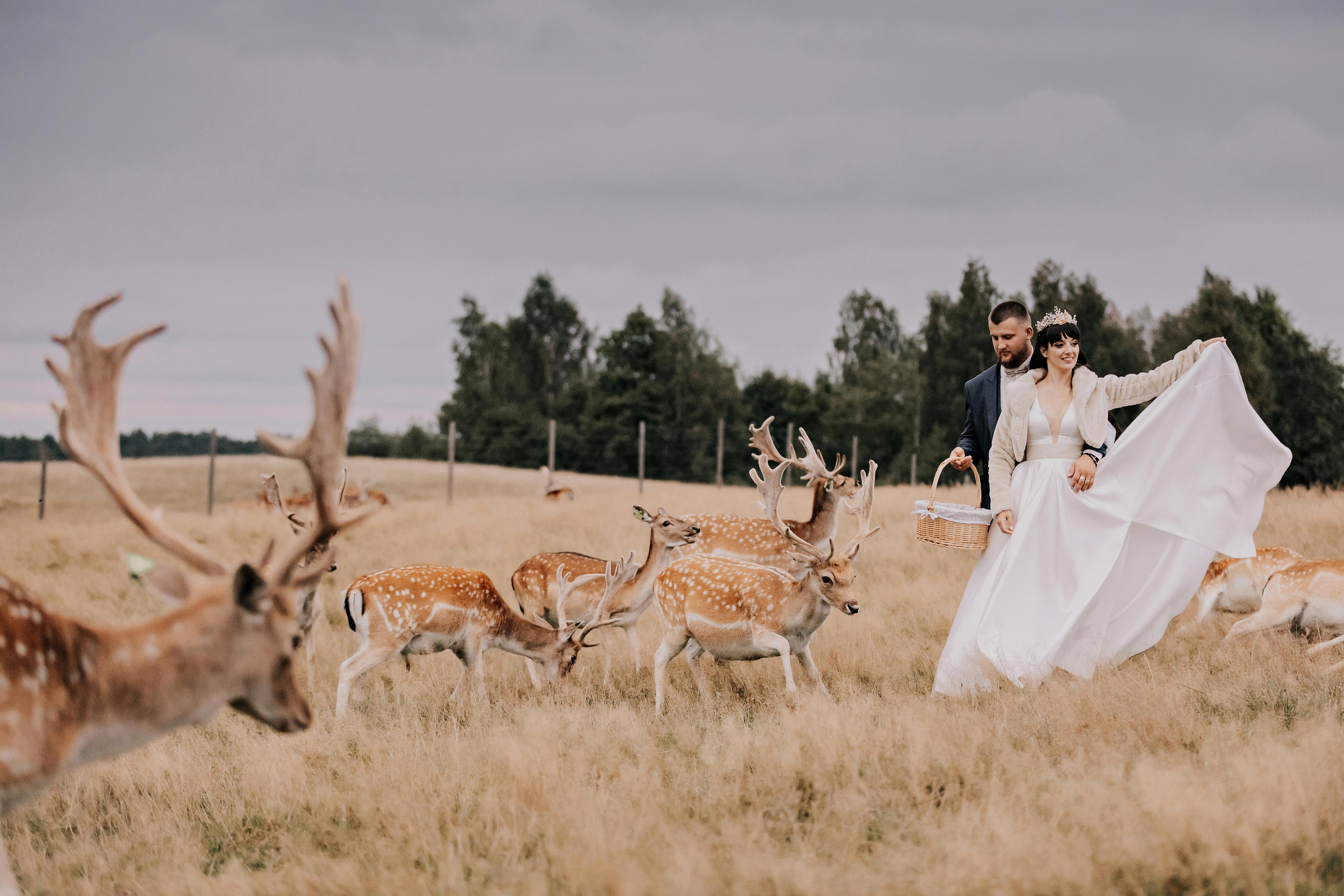 Justīne & Ivars. ФОТОГРАФ |ЛАТВИЯ | ДАУГАВПИЛС|