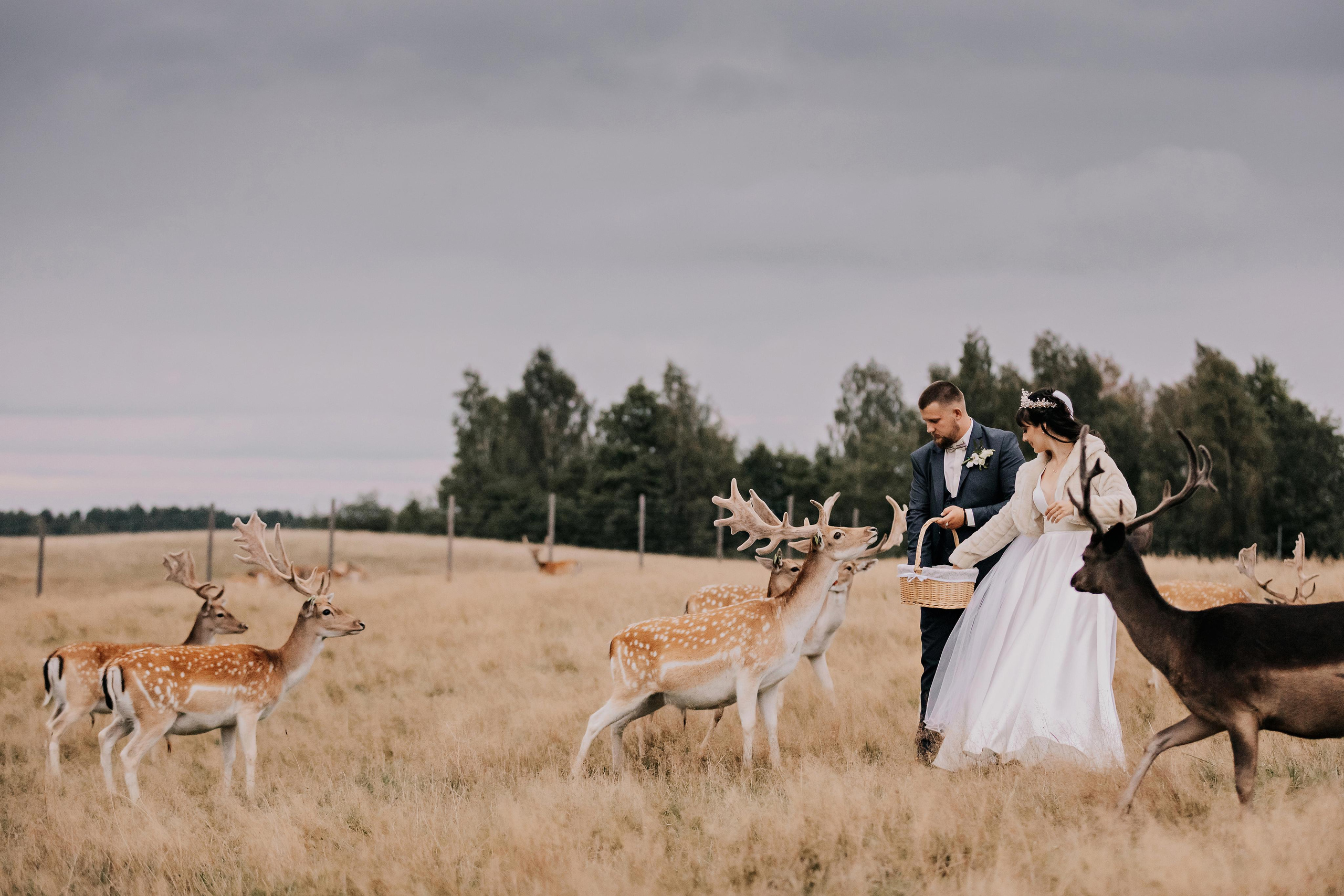 Justīne & Ivars. ФОТОГРАФ |ЛАТВИЯ | ДАУГАВПИЛС|