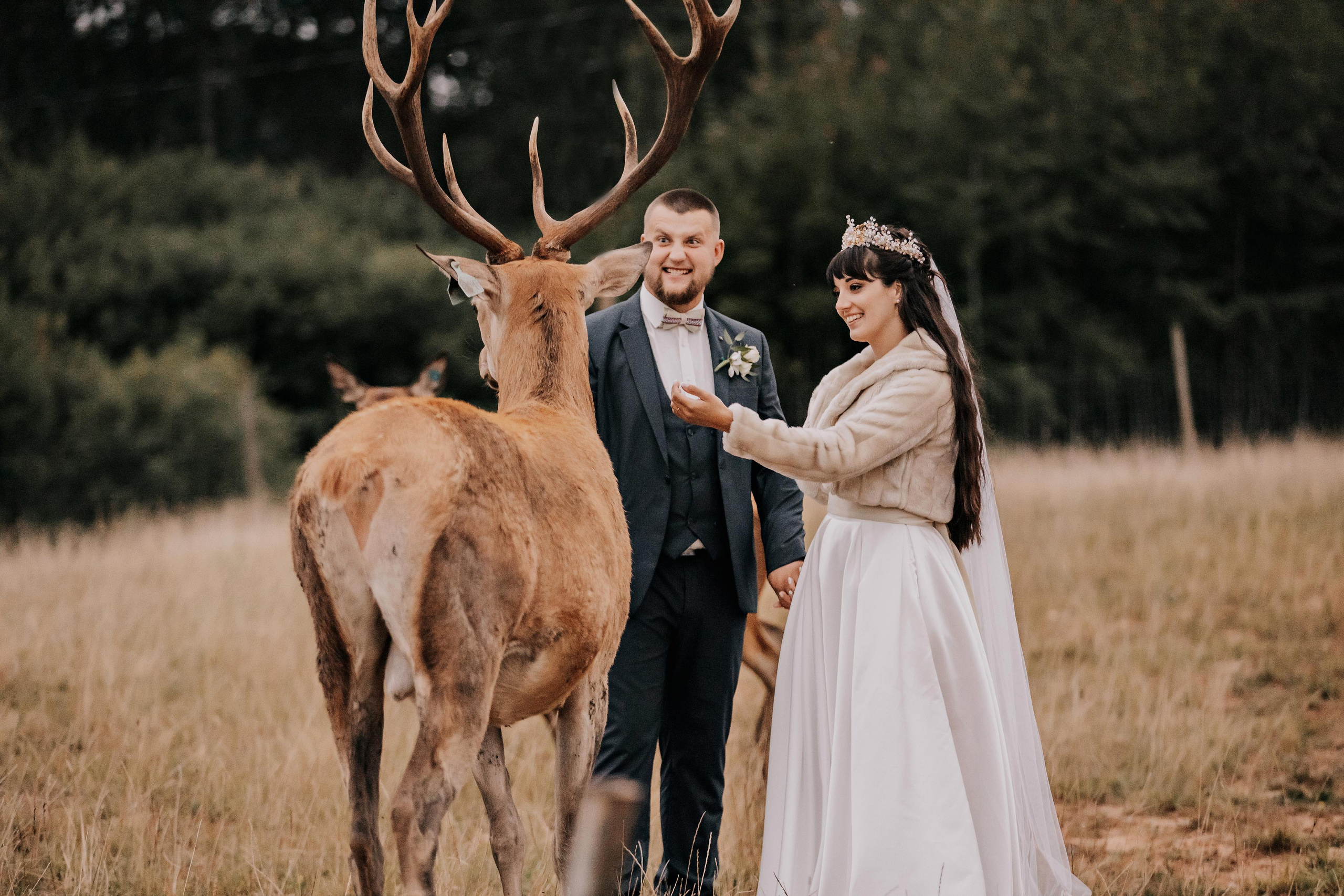 Justīne & Ivars. ФОТОГРАФ |ЛАТВИЯ | ДАУГАВПИЛС|