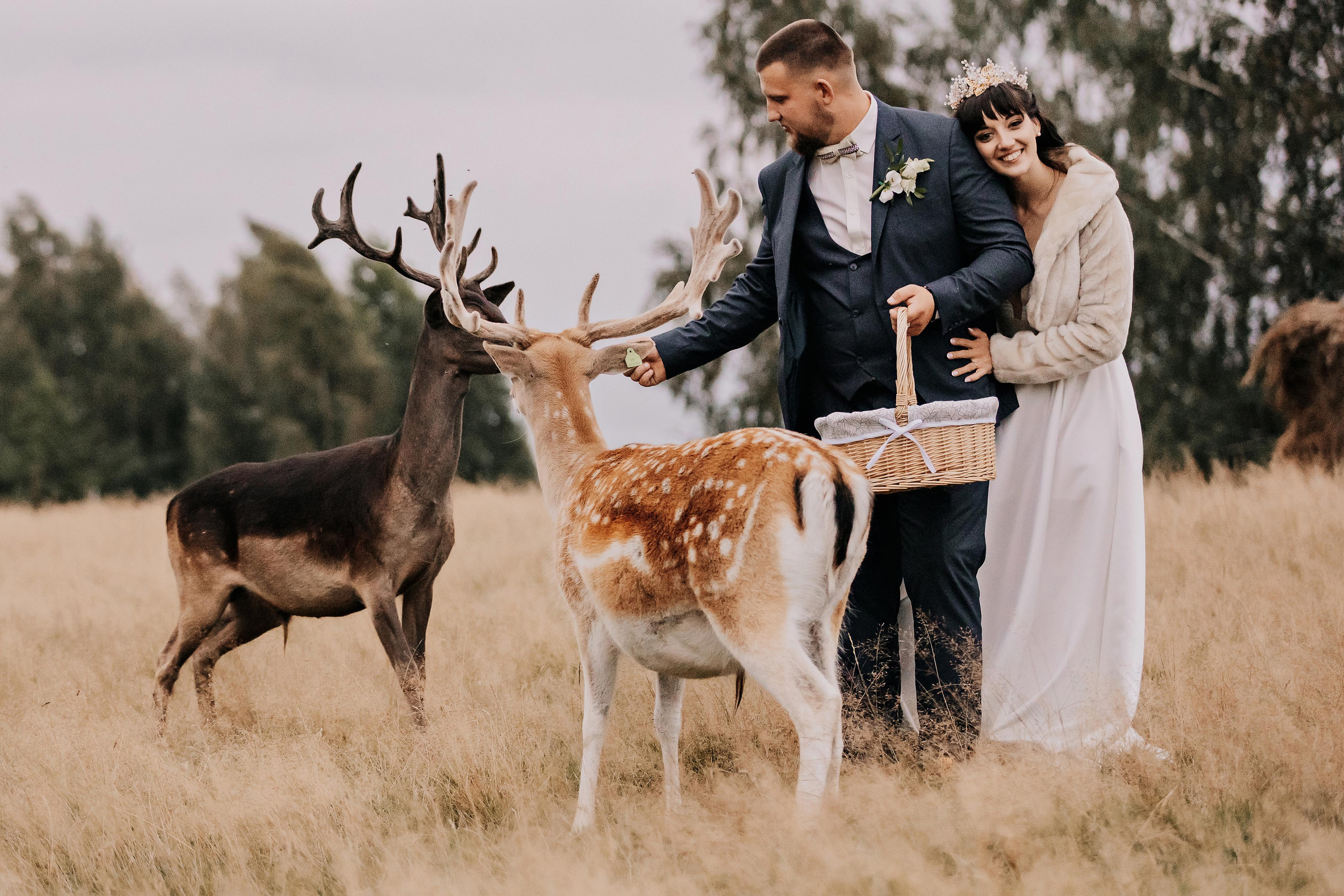 Justīne & Ivars. ФОТОГРАФ |ЛАТВИЯ | ДАУГАВПИЛС|