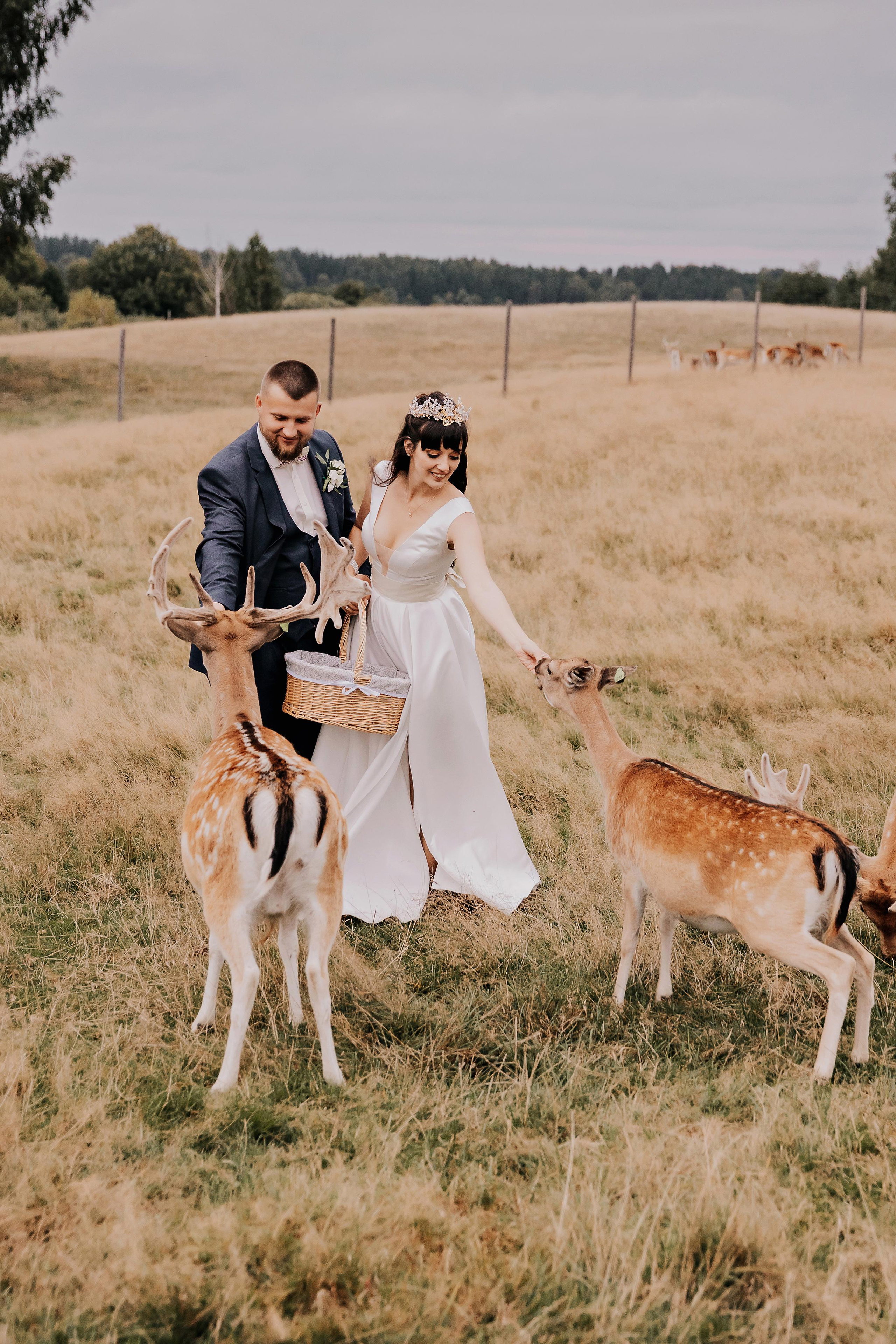 Justīne & Ivars. ФОТОГРАФ |ЛАТВИЯ | ДАУГАВПИЛС|