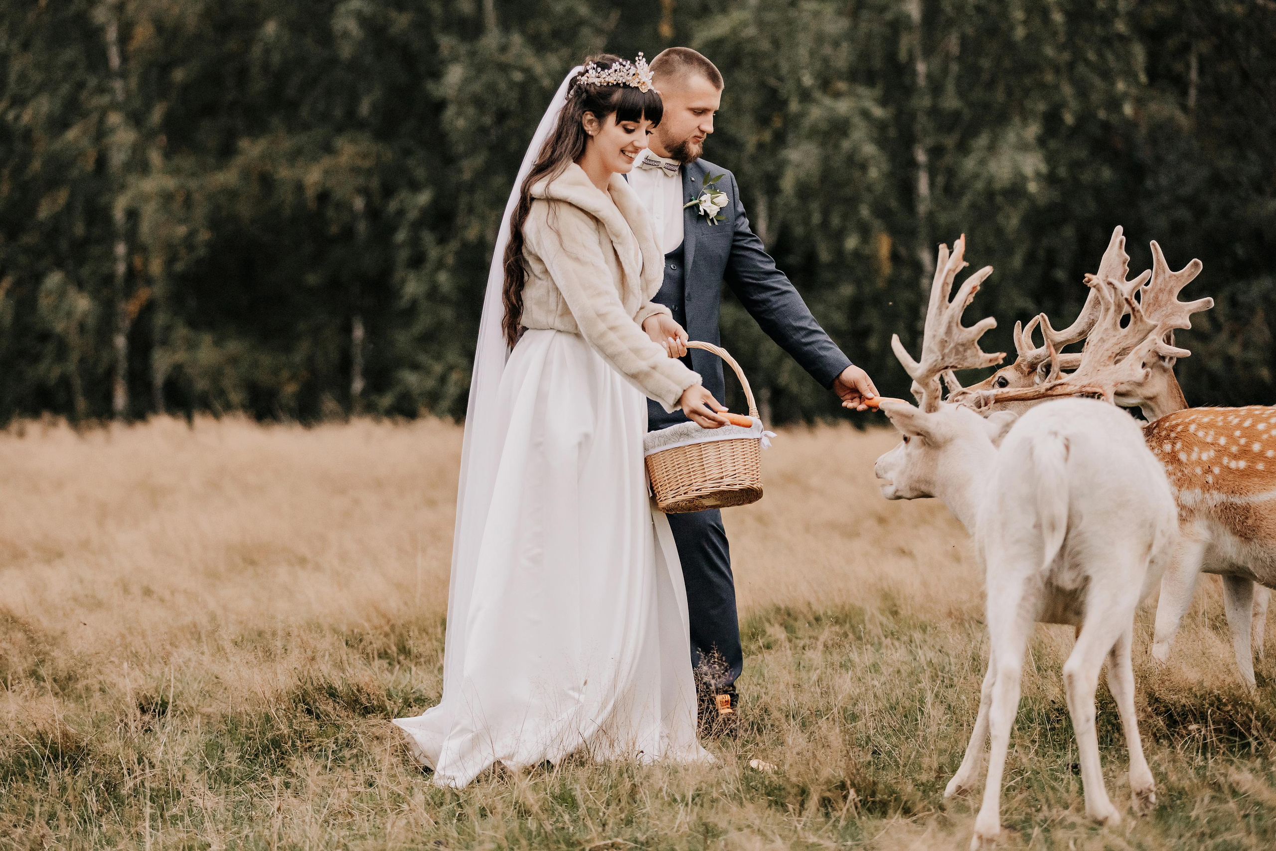 Justīne & Ivars. ФОТОГРАФ |ЛАТВИЯ | ДАУГАВПИЛС|