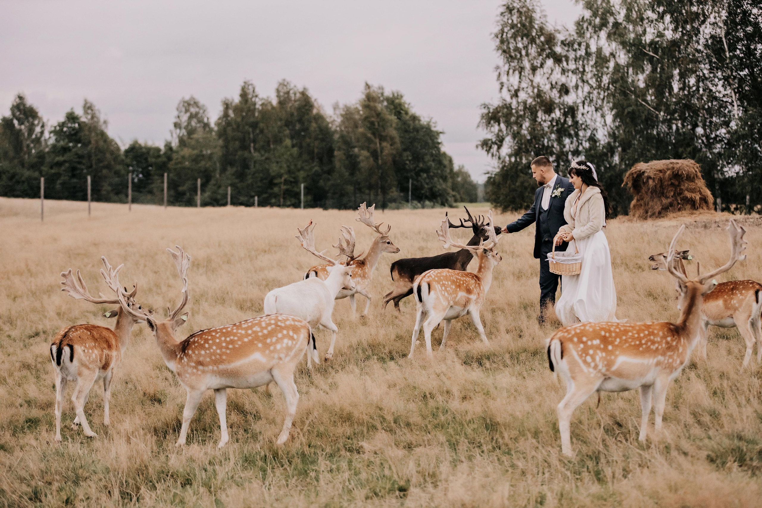 Justīne & Ivars. ФОТОГРАФ |ЛАТВИЯ | ДАУГАВПИЛС|