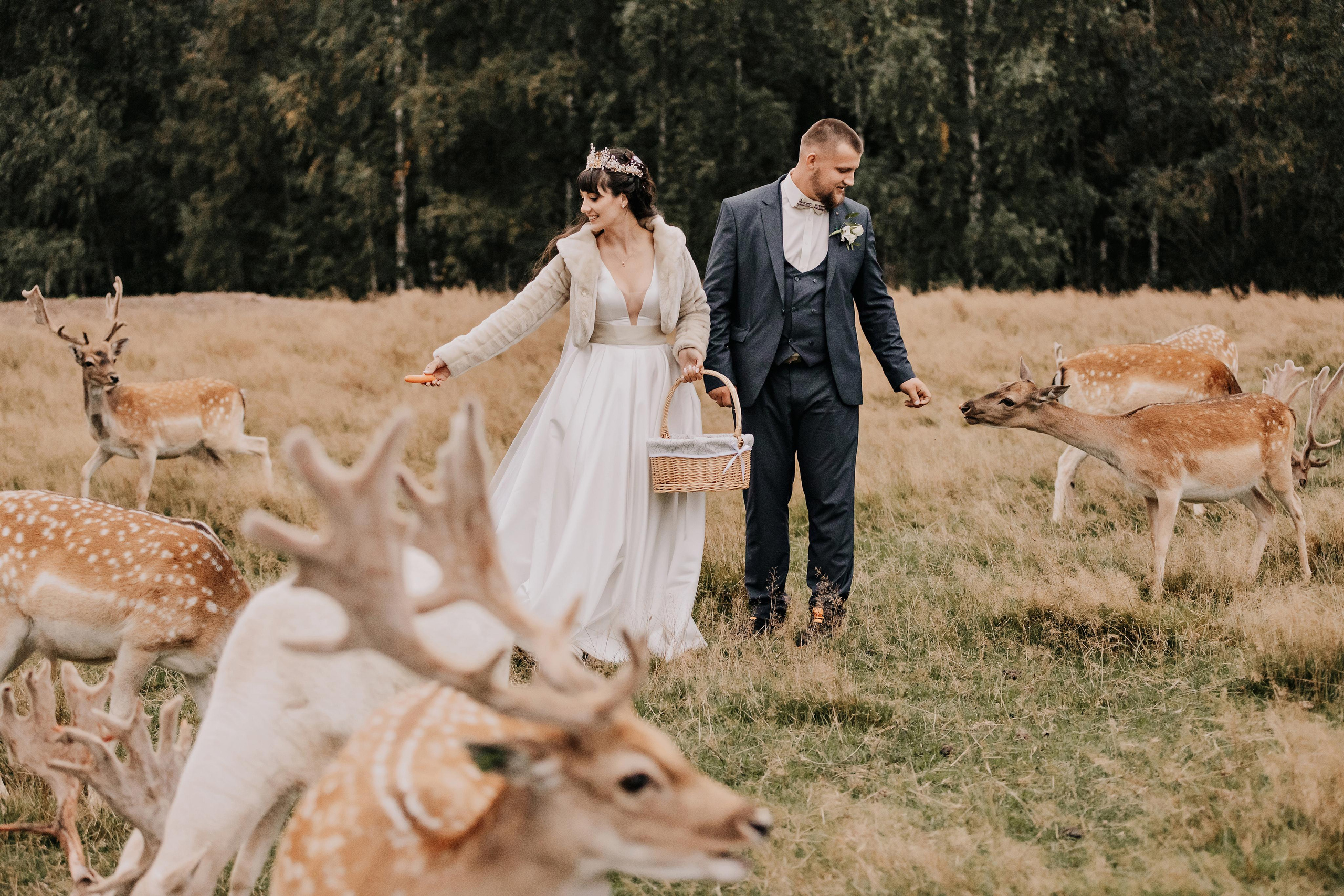 Justīne & Ivars. ФОТОГРАФ |ЛАТВИЯ | ДАУГАВПИЛС|