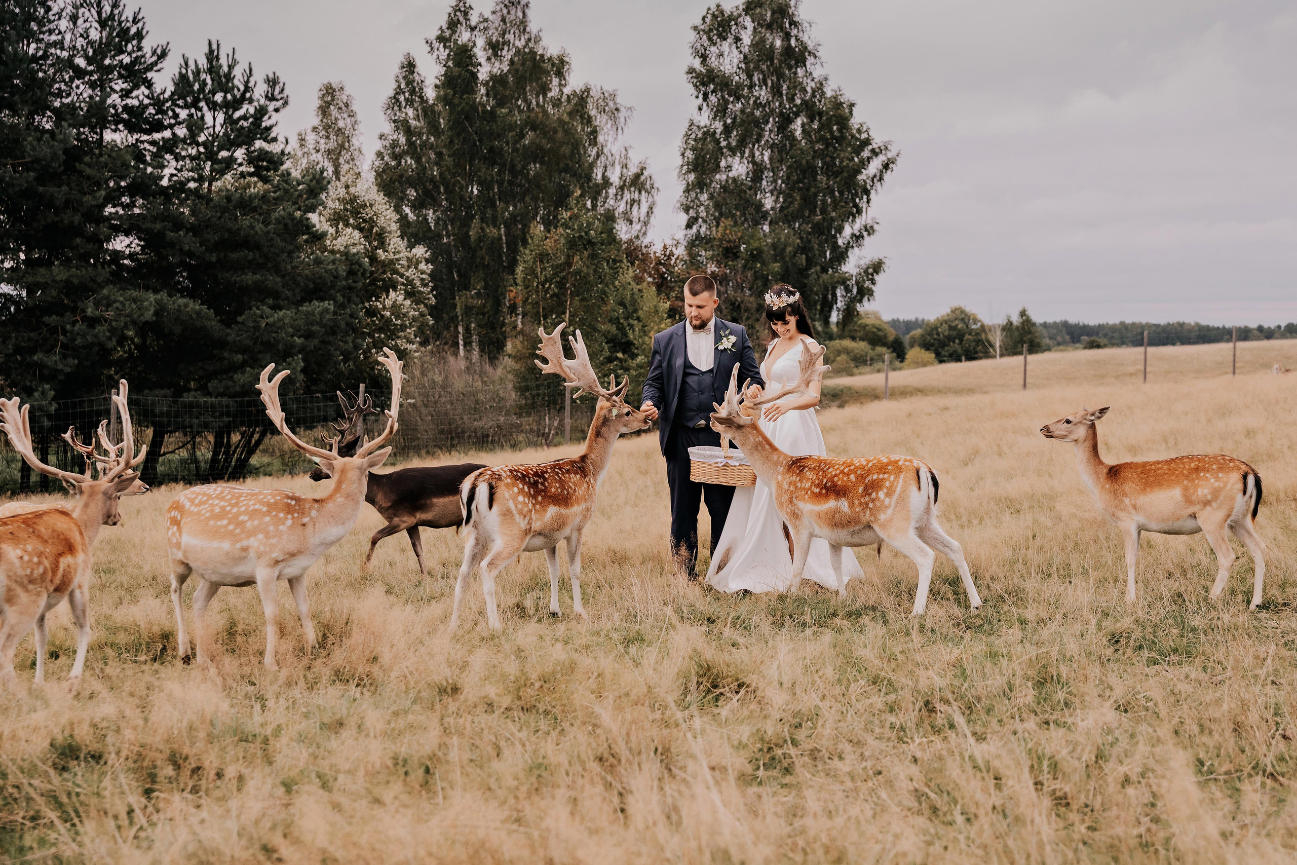 Justīne & Ivars. ФОТОГРАФ |ЛАТВИЯ | ДАУГАВПИЛС|