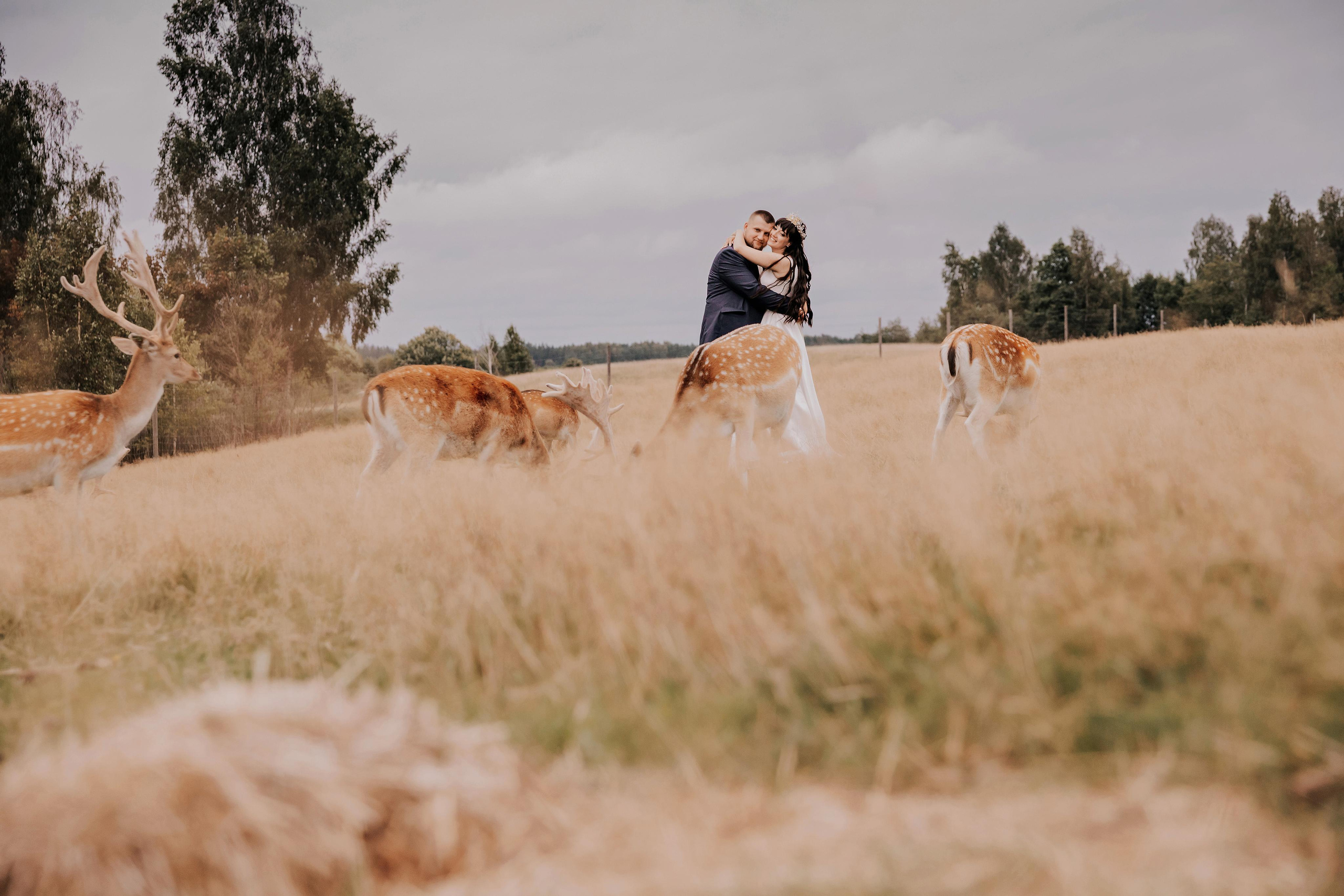 Justīne & Ivars. ФОТОГРАФ |ЛАТВИЯ | ДАУГАВПИЛС|