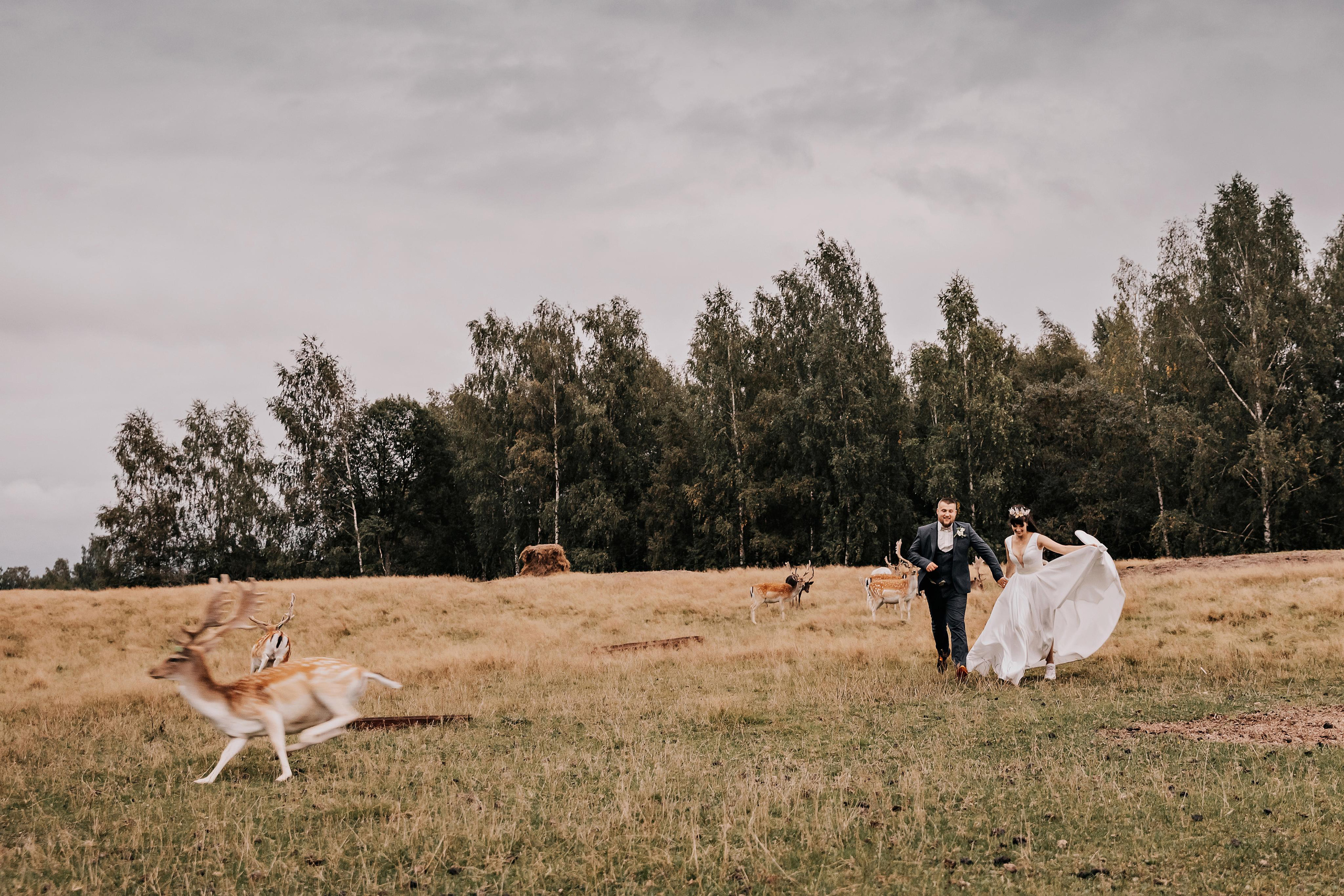 Justīne & Ivars. ФОТОГРАФ |ЛАТВИЯ | ДАУГАВПИЛС|