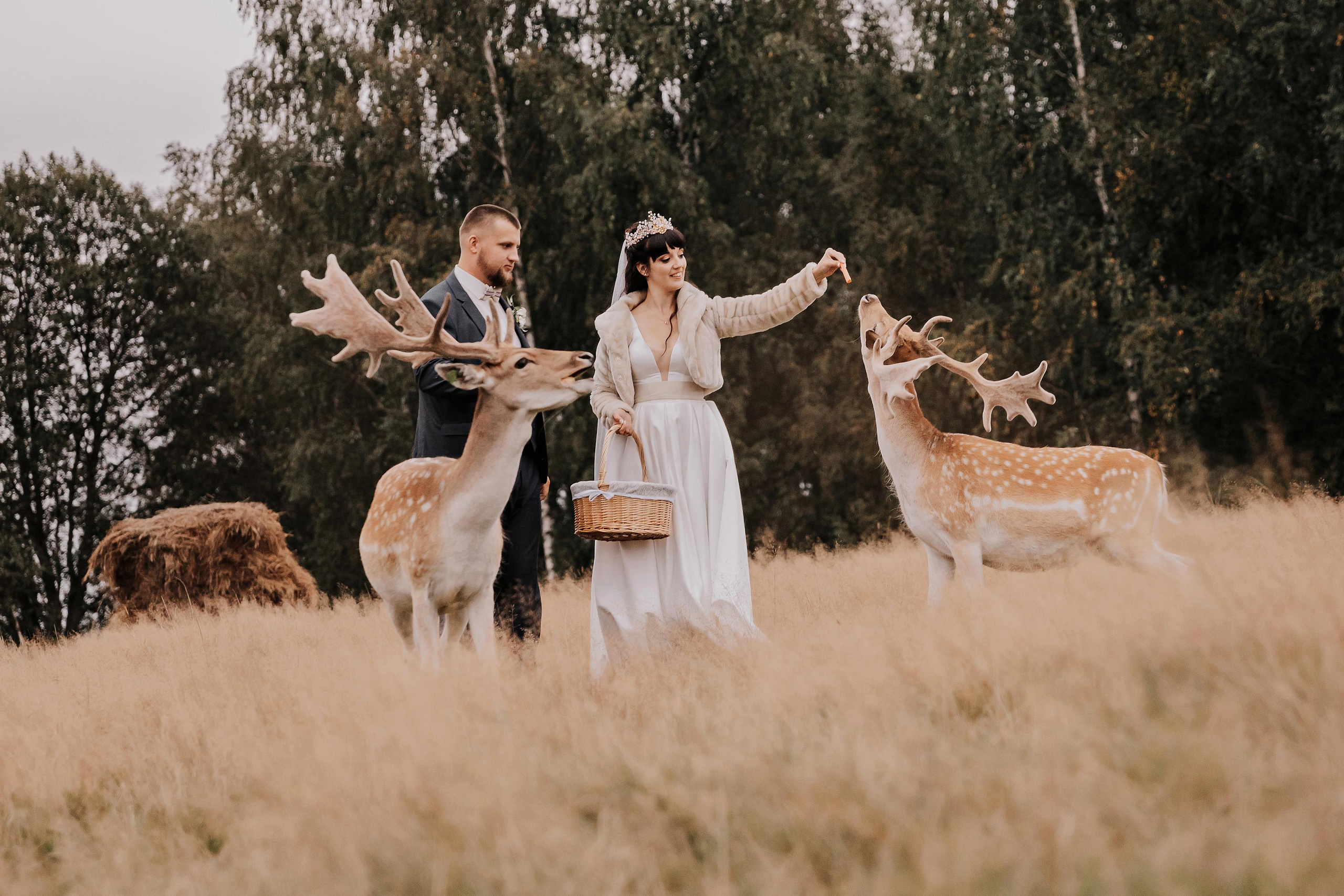 Justīne & Ivars. ФОТОГРАФ |ЛАТВИЯ | ДАУГАВПИЛС|