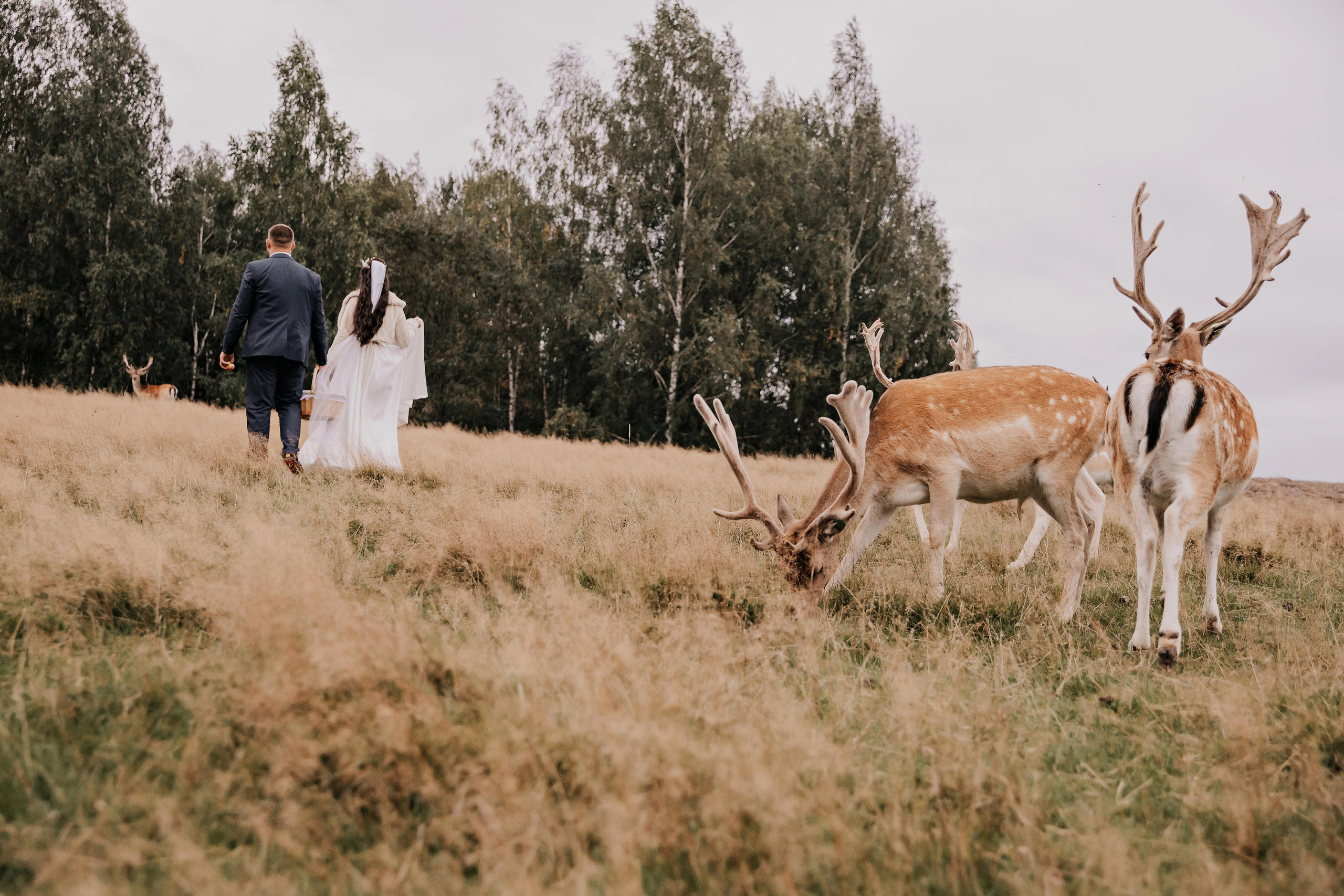 Justīne & Ivars. ФОТОГРАФ |ЛАТВИЯ | ДАУГАВПИЛС|