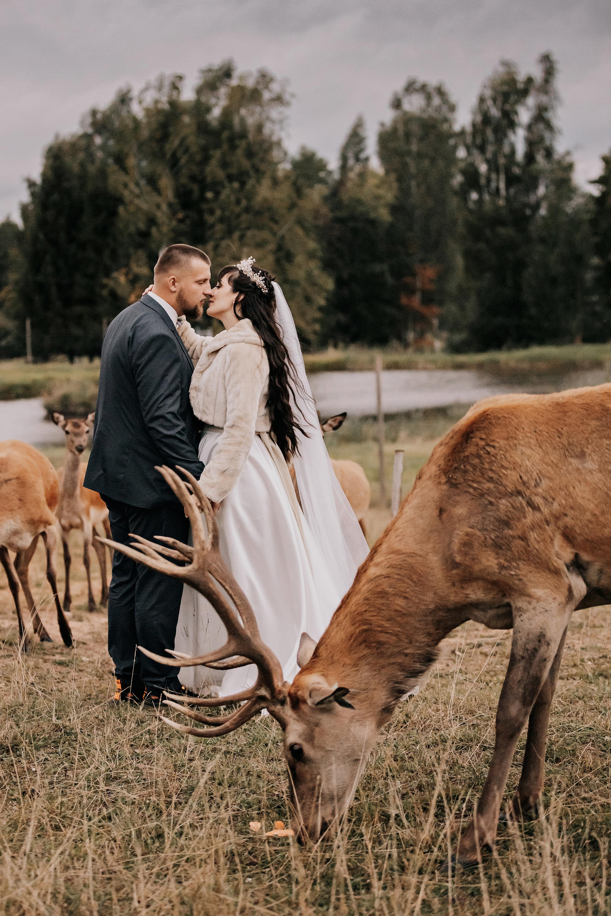 Justīne & Ivars. ФОТОГРАФ |ЛАТВИЯ | ДАУГАВПИЛС|