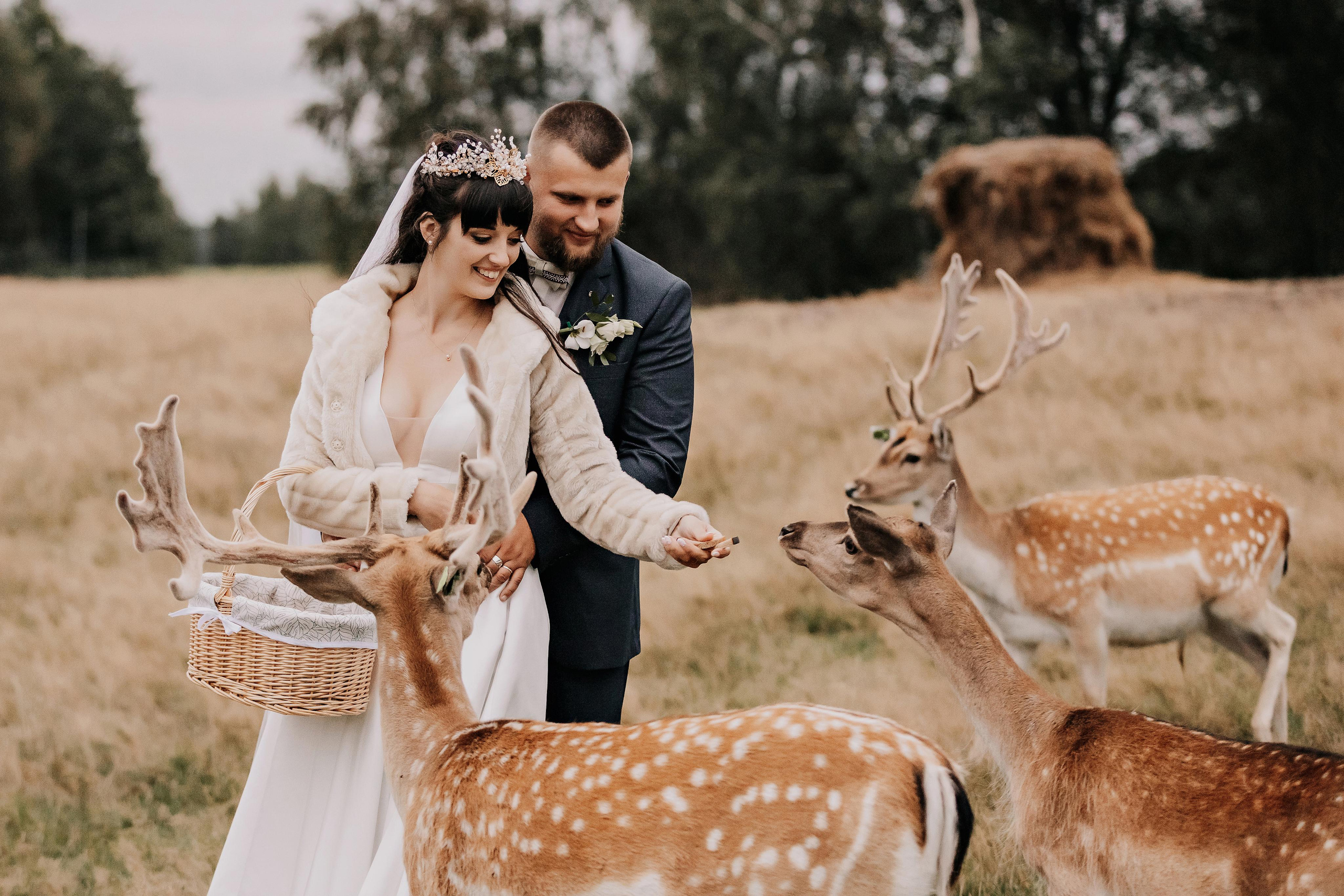 Justīne & Ivars. ФОТОГРАФ |ЛАТВИЯ | ДАУГАВПИЛС|