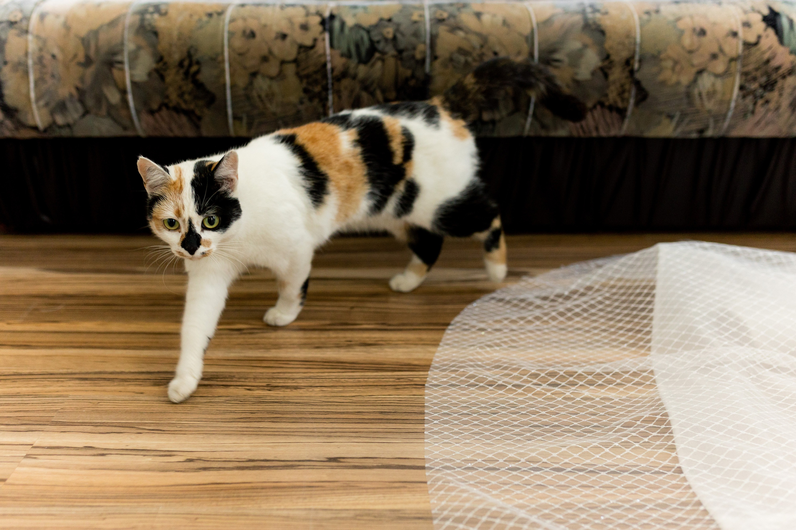 Богдана та Влад. Ірина Терещук