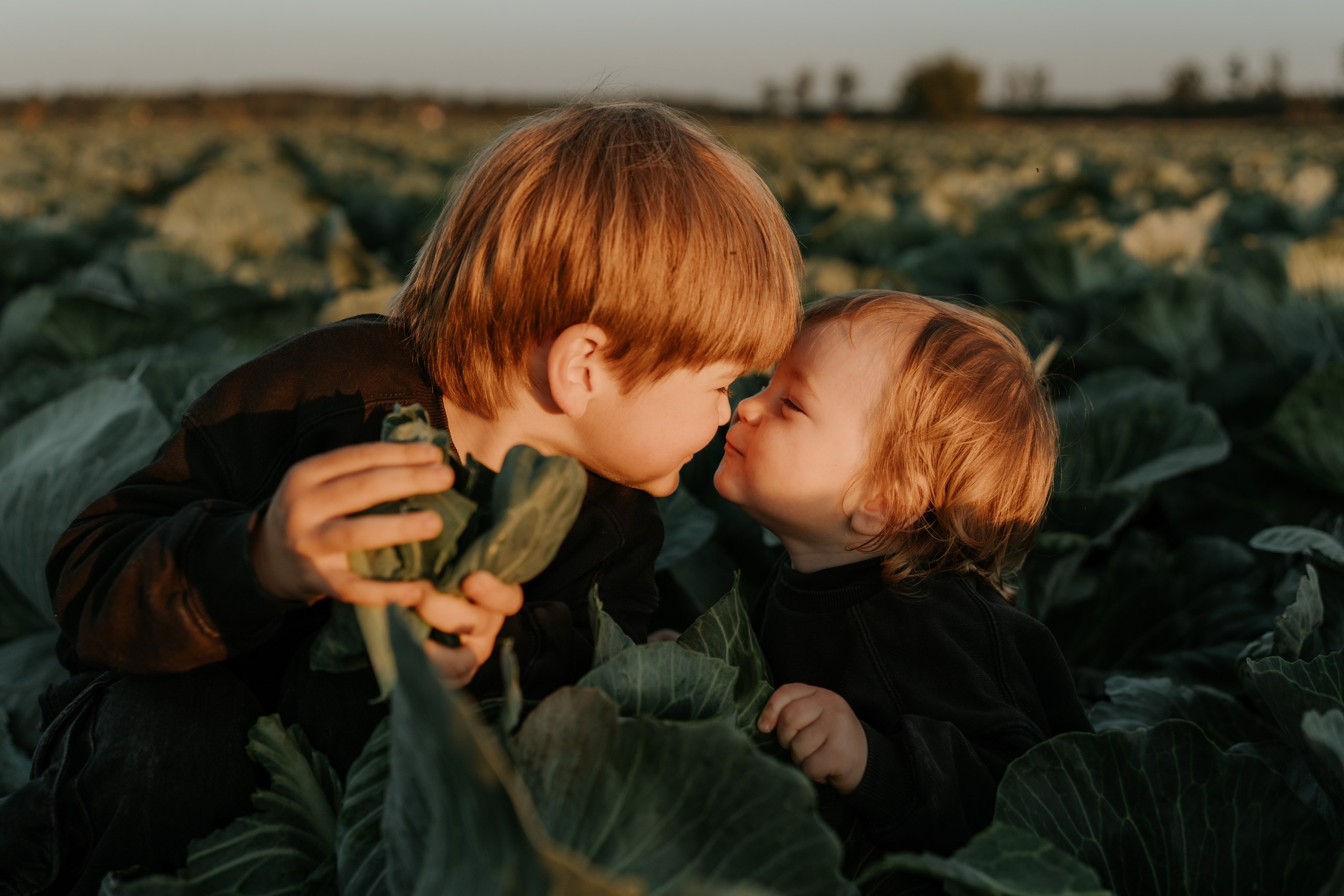 FAMILY IN CABBAGES. Dagneshi Photography