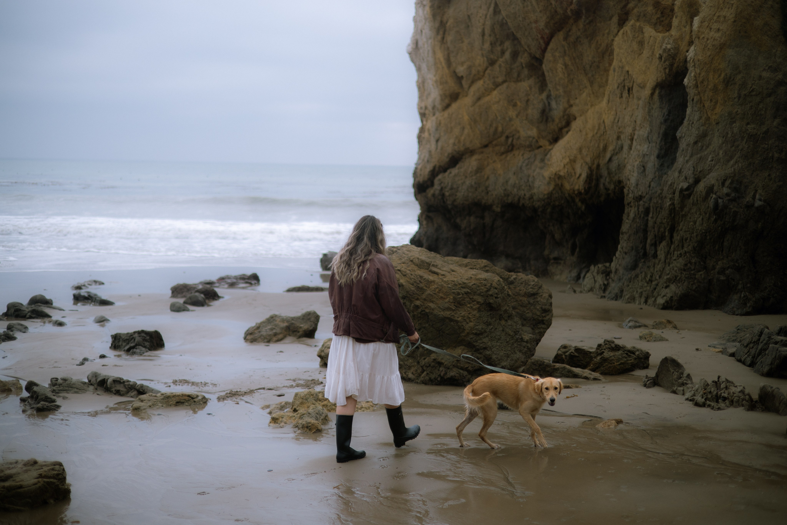 Paws & Portraits. Photographer in Los Angeles. Julia Ishmuratova