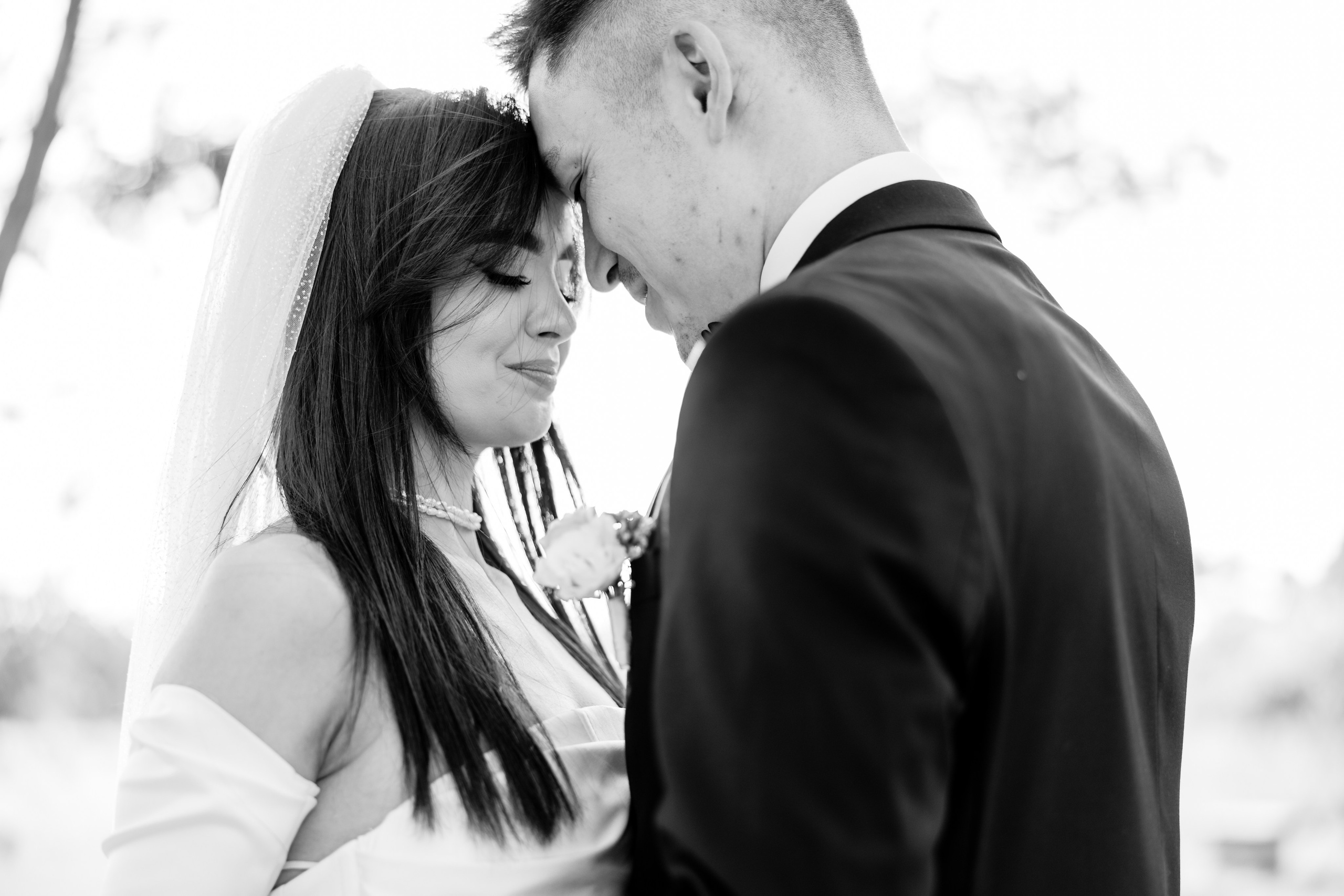 Corneliu & Corina. ProWed — Foto Video Moldova
