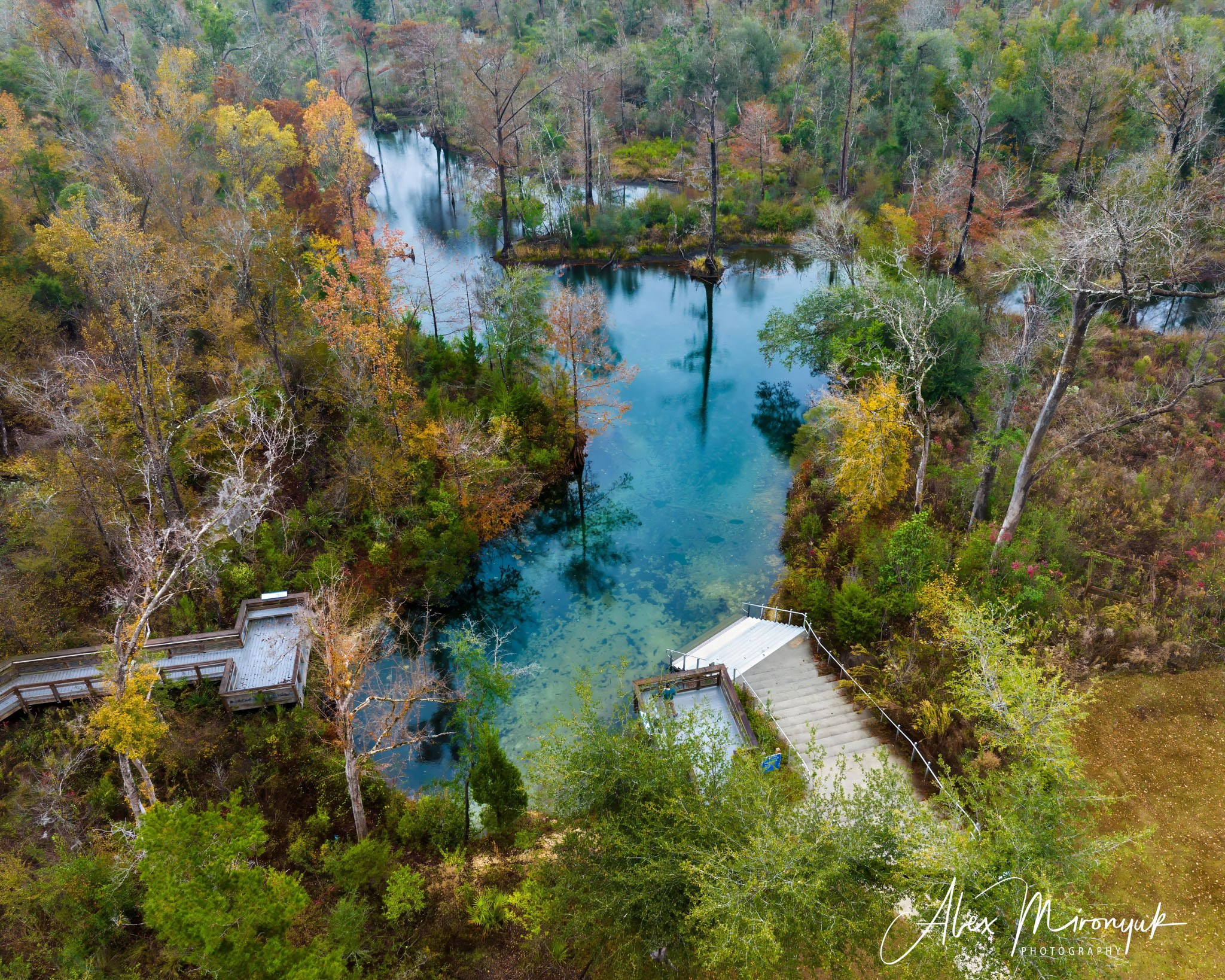 Exploring True Florida: Springs, Rivers & Manatees by Canoe. Pet, Senior, Landscape, portrait studio, photographer in Miami and Sou