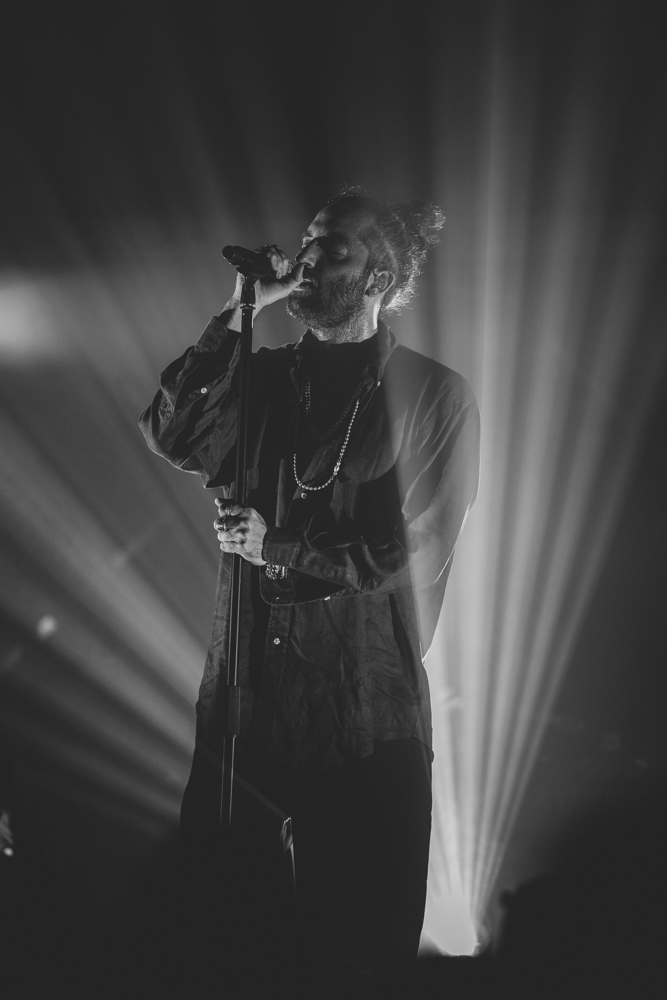 Shows. Noam Paradise Photographer