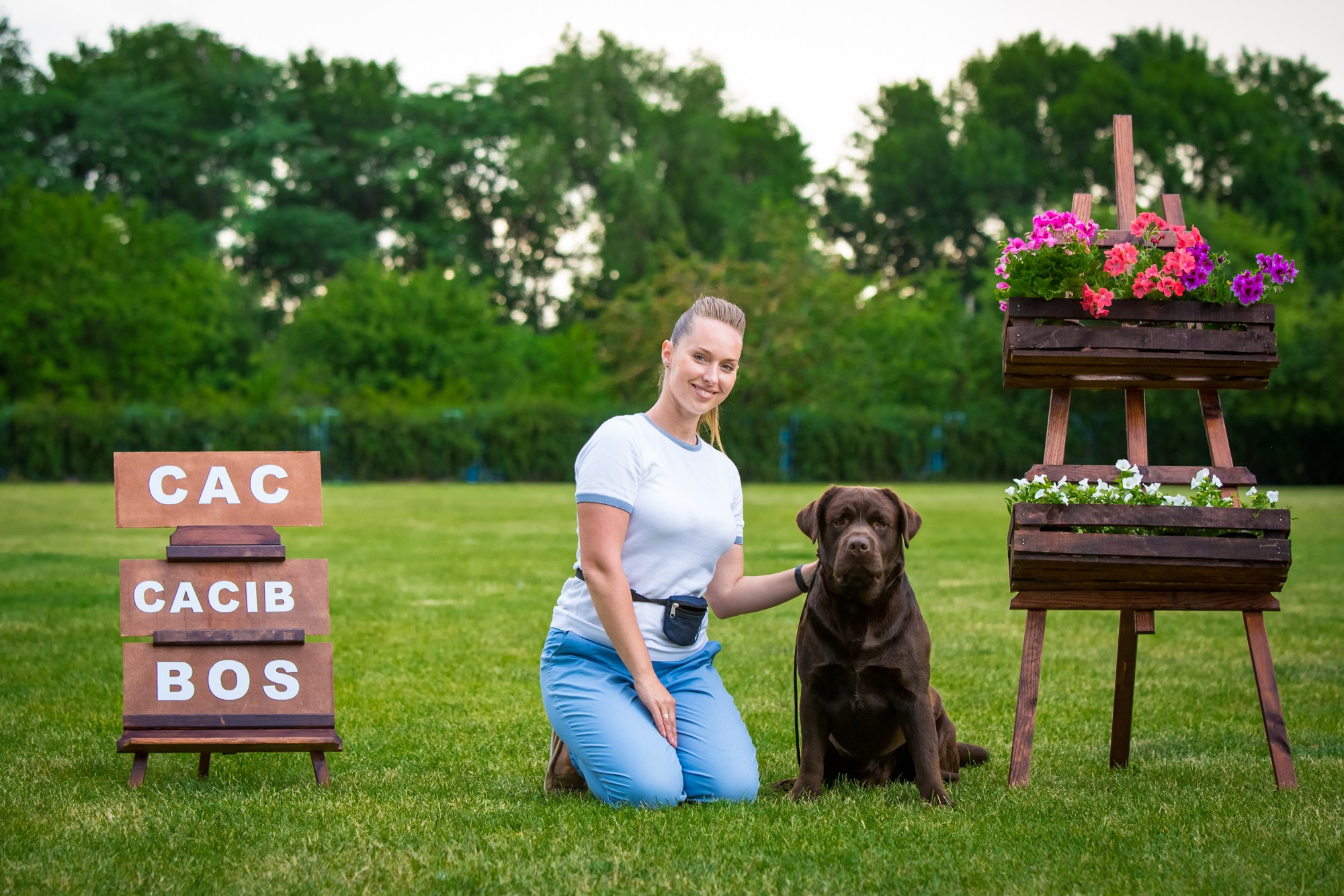 Newton. Цуценята лабрадор ретривера, Дніпро, Україна