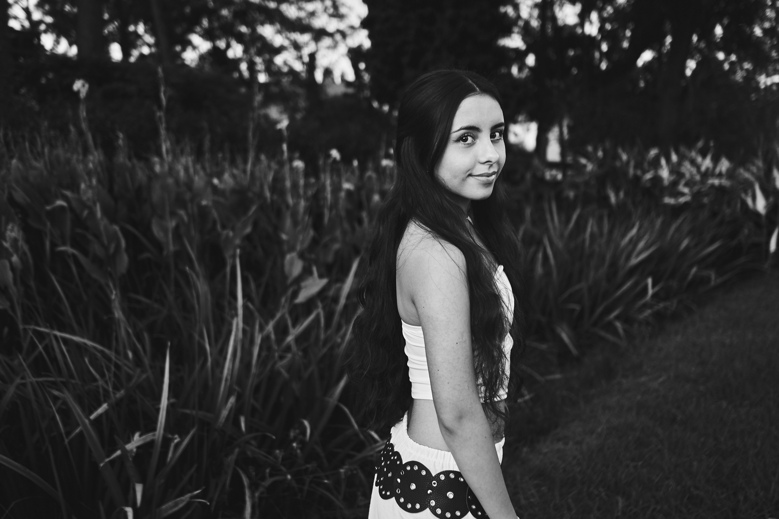 Book XV. Luis XV
