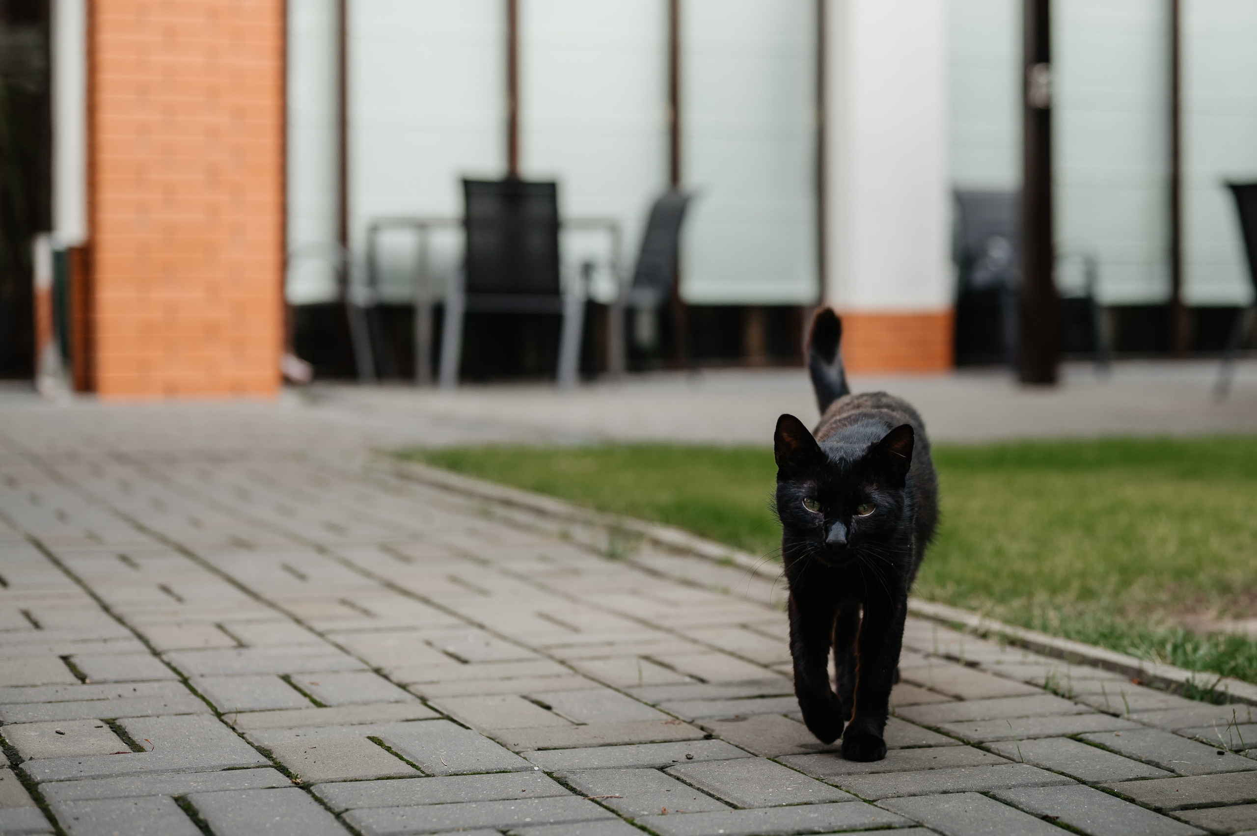 Cununie civila la Starea Civila Iasi. Proud Vision Weddings | Wedding Photography & Film — Servicii profesionale Foto Video Nunta Iasi