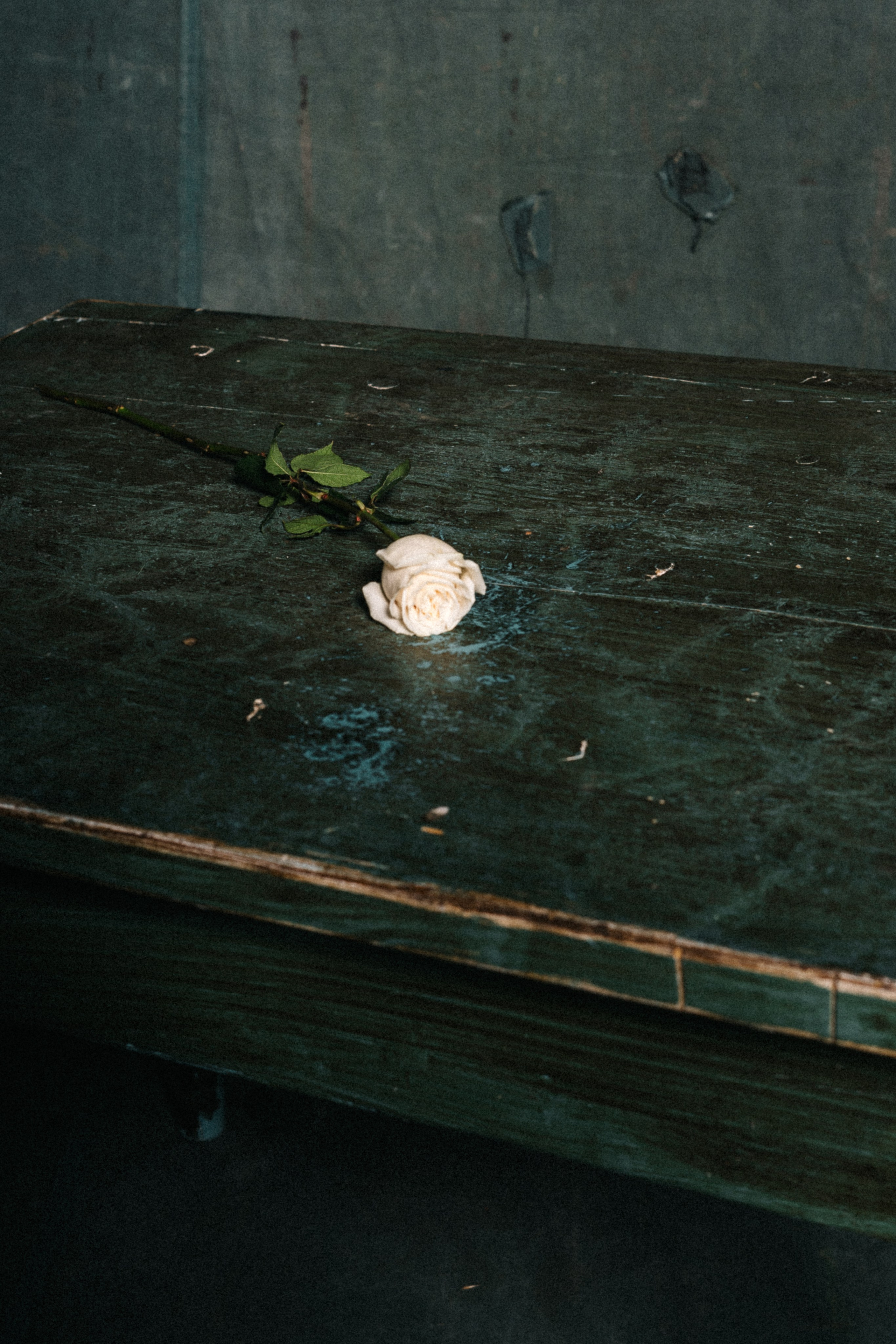 Fabiana (Verona, IT). Diana Fedrigo | Fotografa matrimoni in Italia