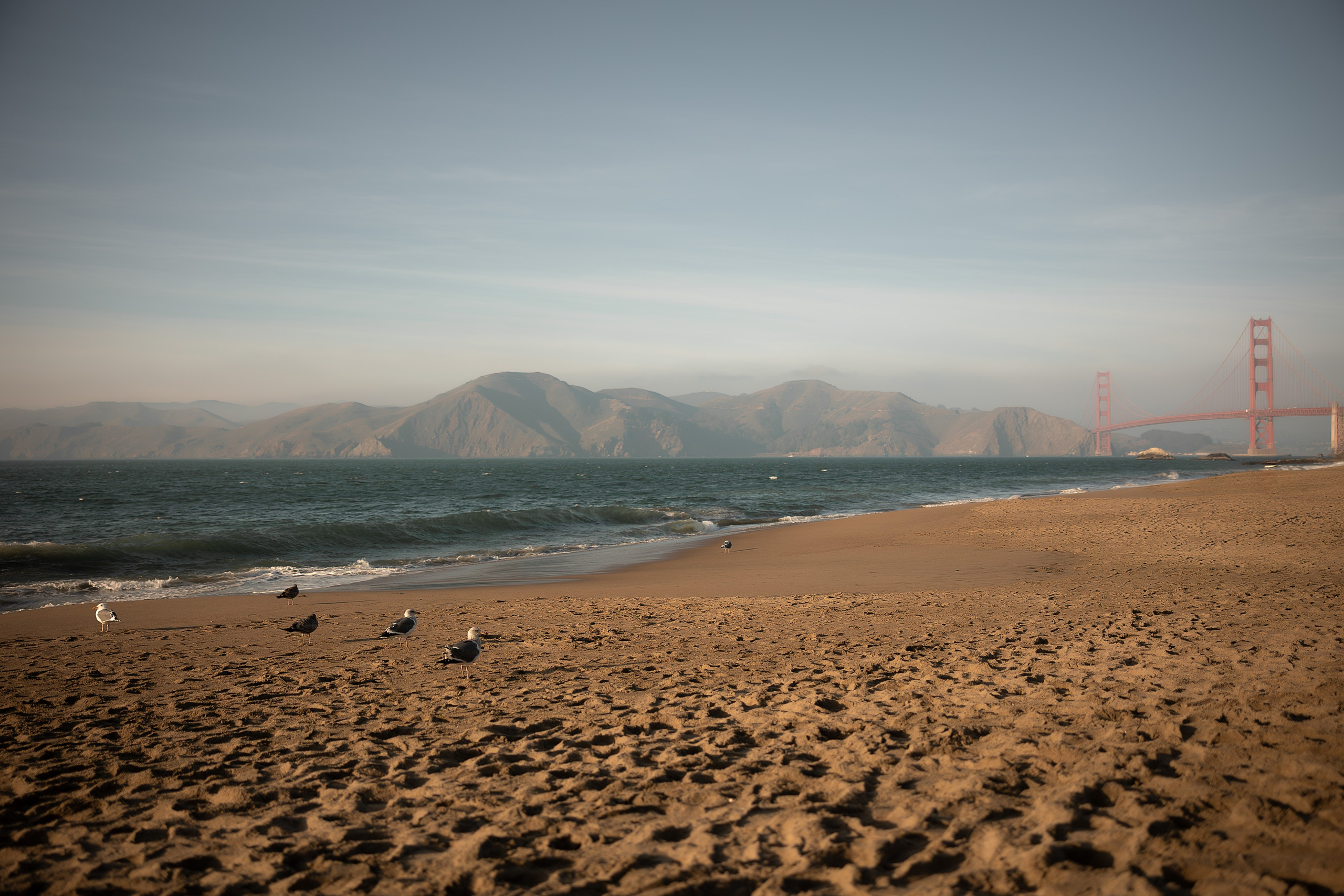 COUPLES. Couples & Families photographer in Bay Area, San Jose, California