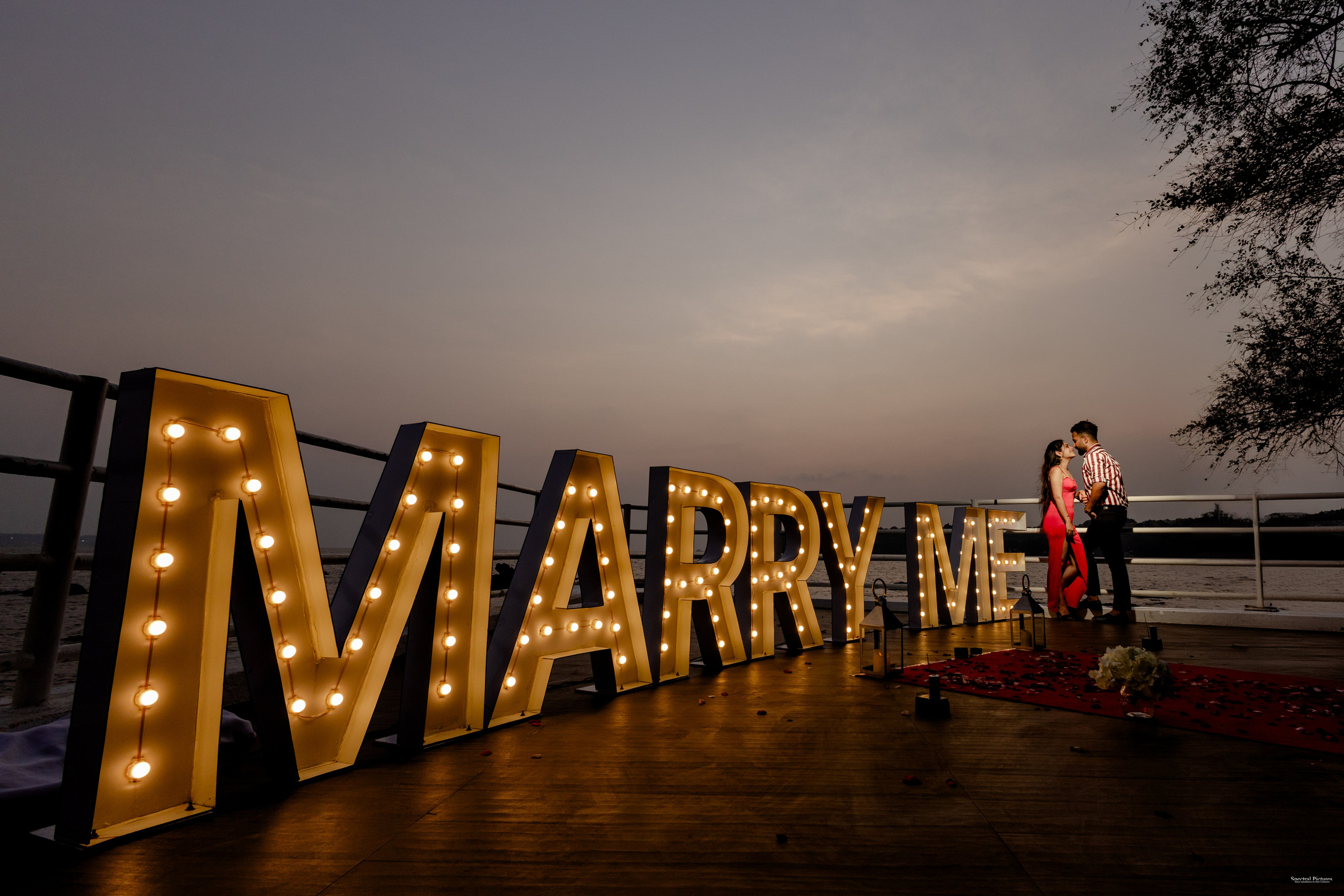 Purva & Tarun | Proposal