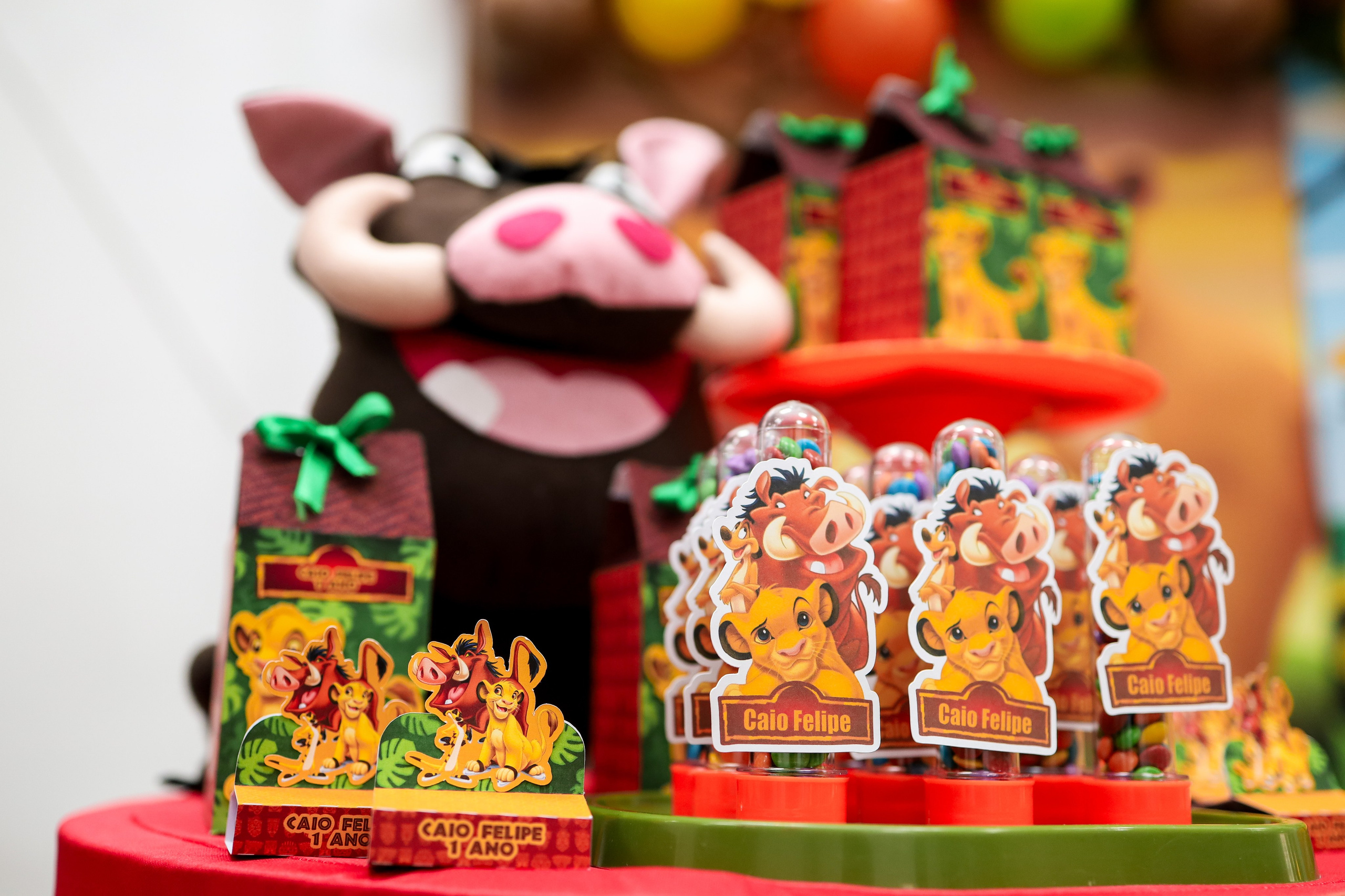 Festa Infantil. Fotógrafo de momentos Sagrados