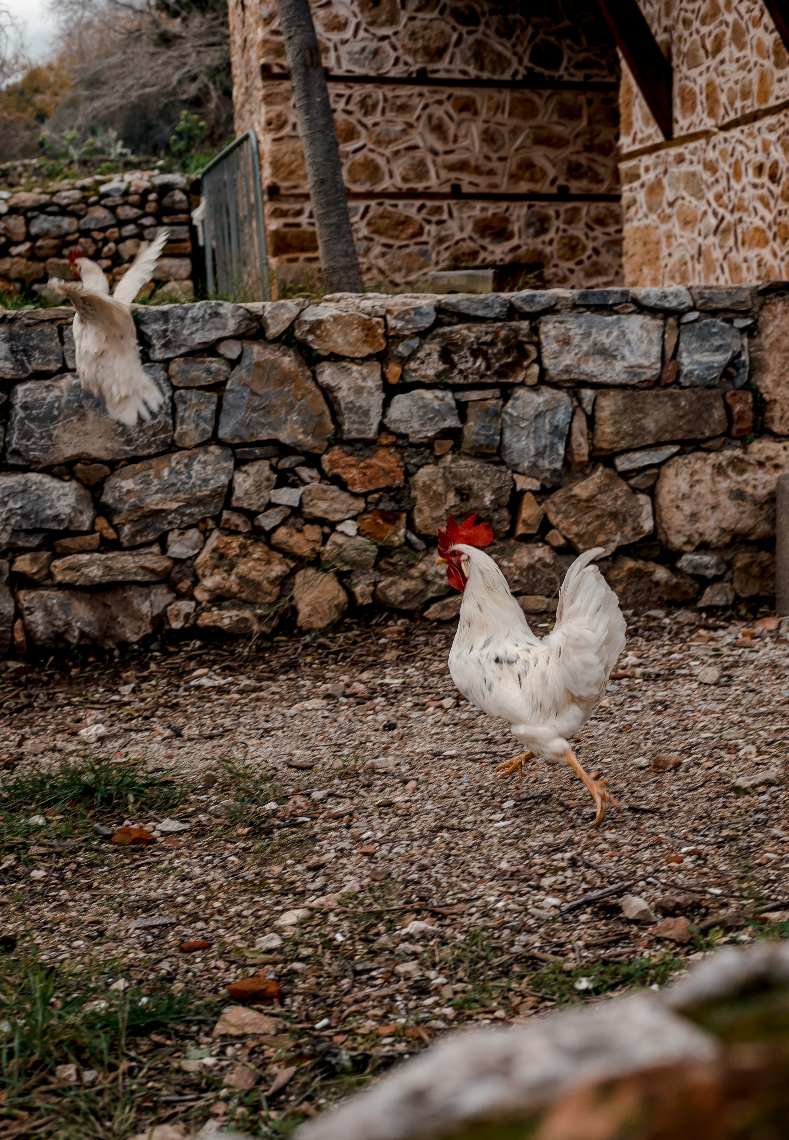 Turkey, Alanya. Art Photographer