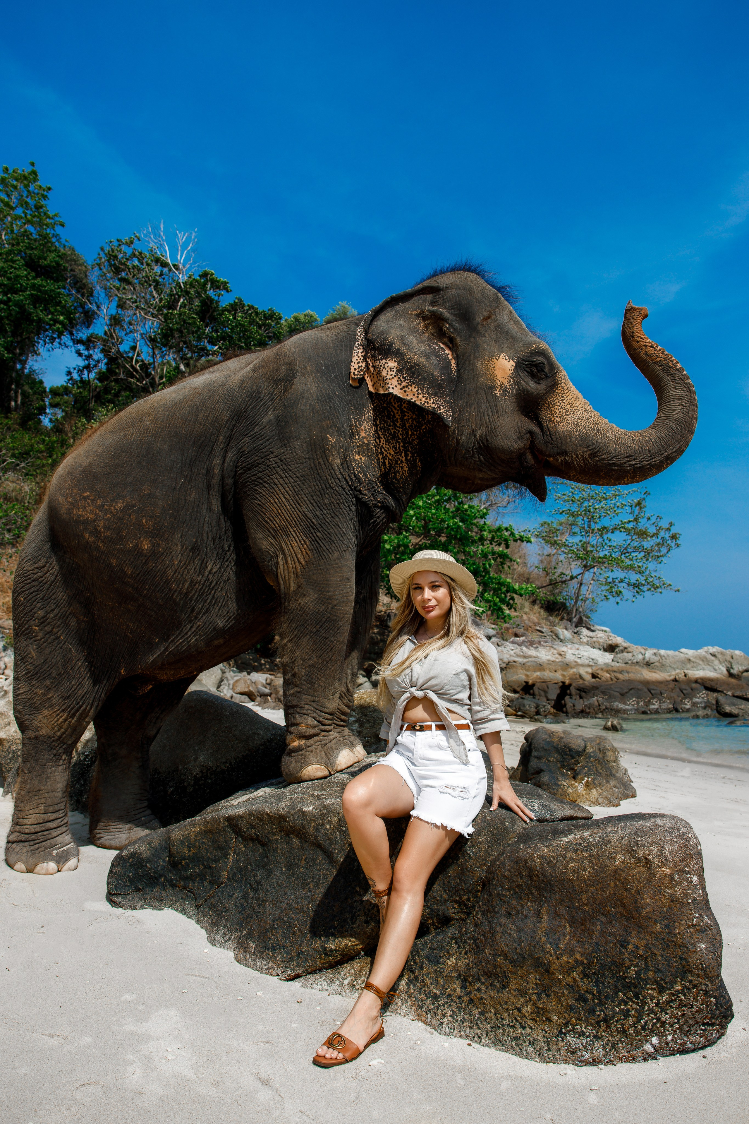 Photo with elephant. Photographer in Phuket. Photographer Thailand