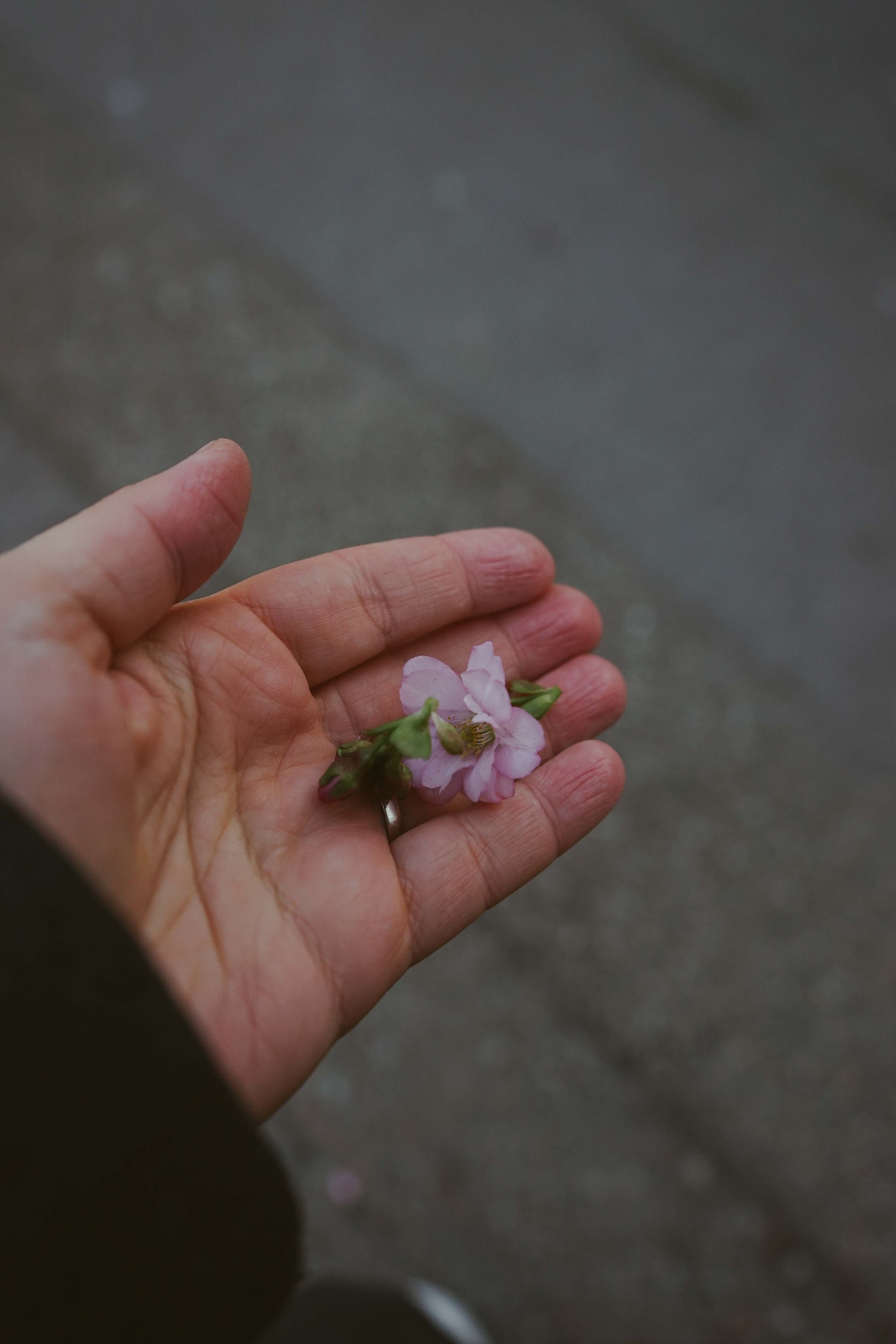 Fotografie de portret și fine art | Mi-e sete de soarele din Stockholm x Lilibeth. Madalina Beda- Artist vizual, fotograf, doula la nastere, consultant babywearing Brasov si in toata tara