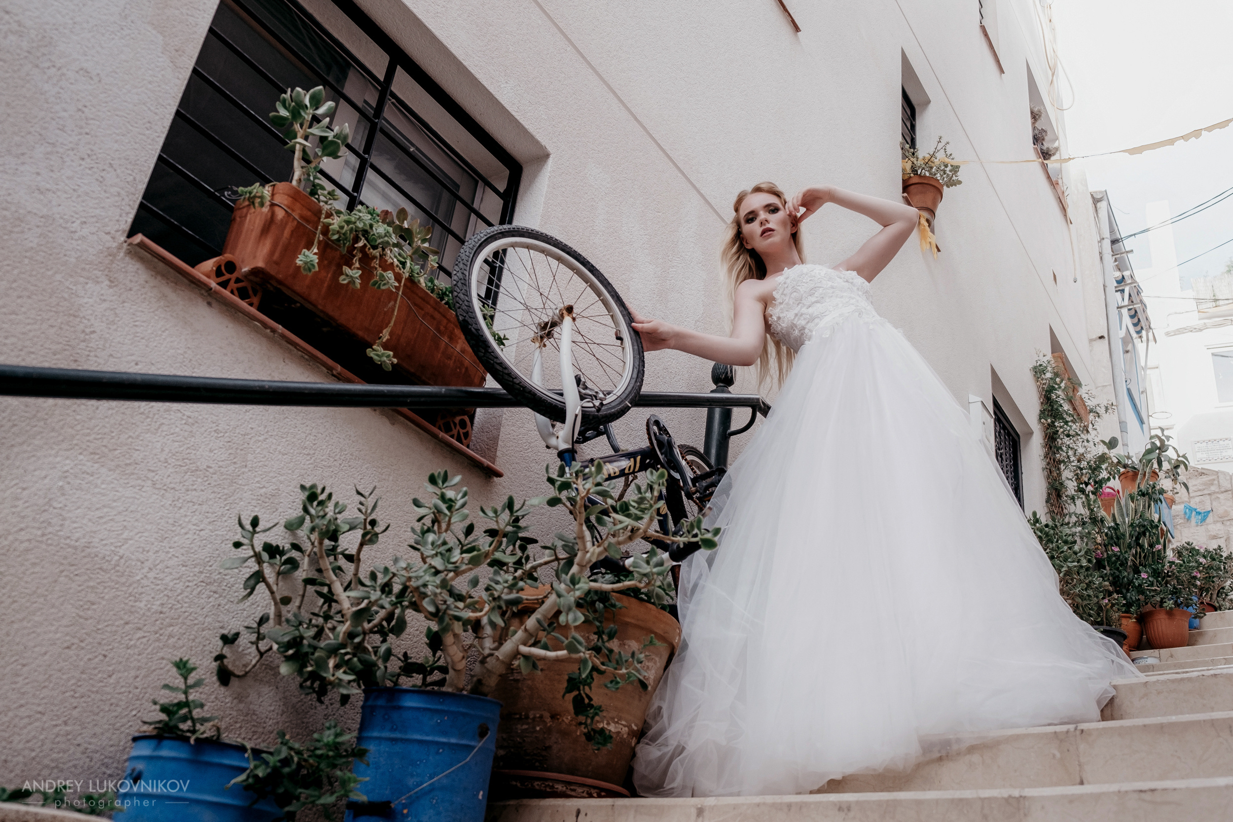 Photographing the collection of wedding and evening dresses
