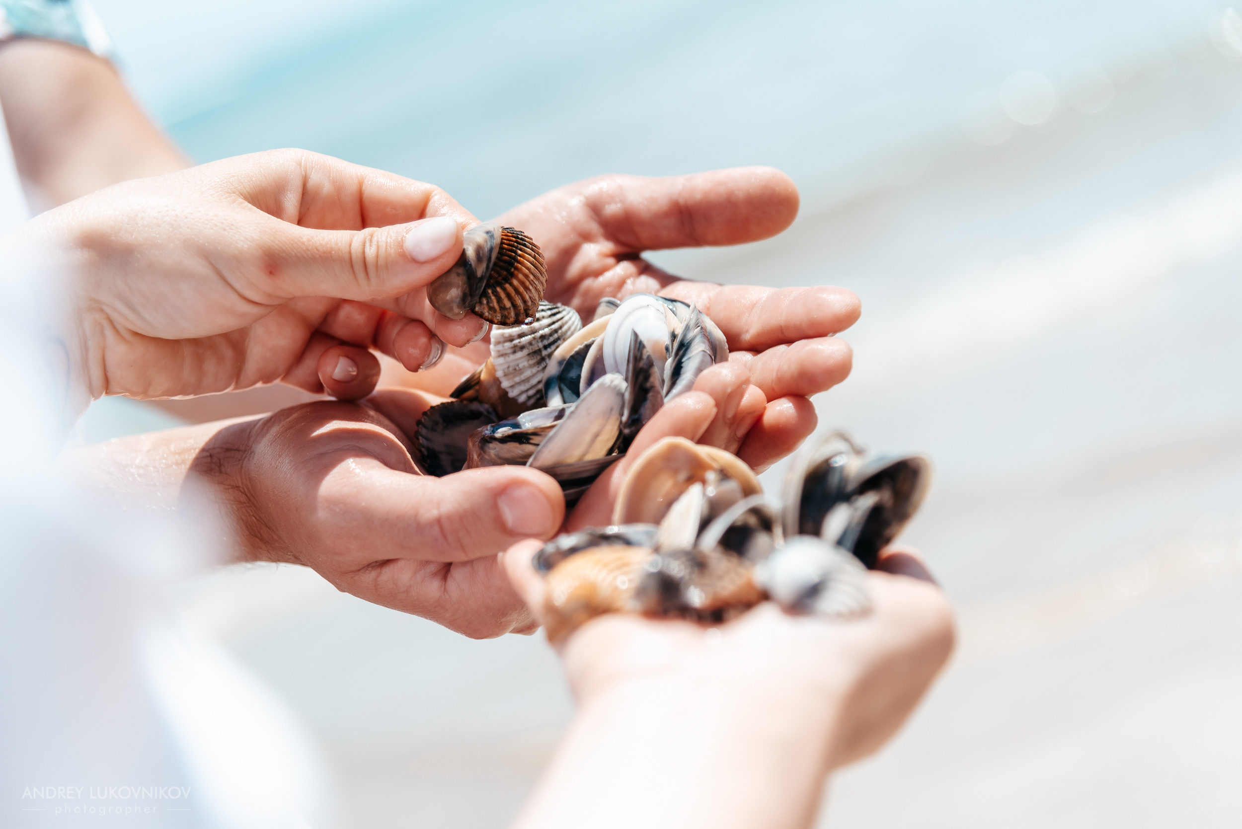 Семейная фотосессия на море