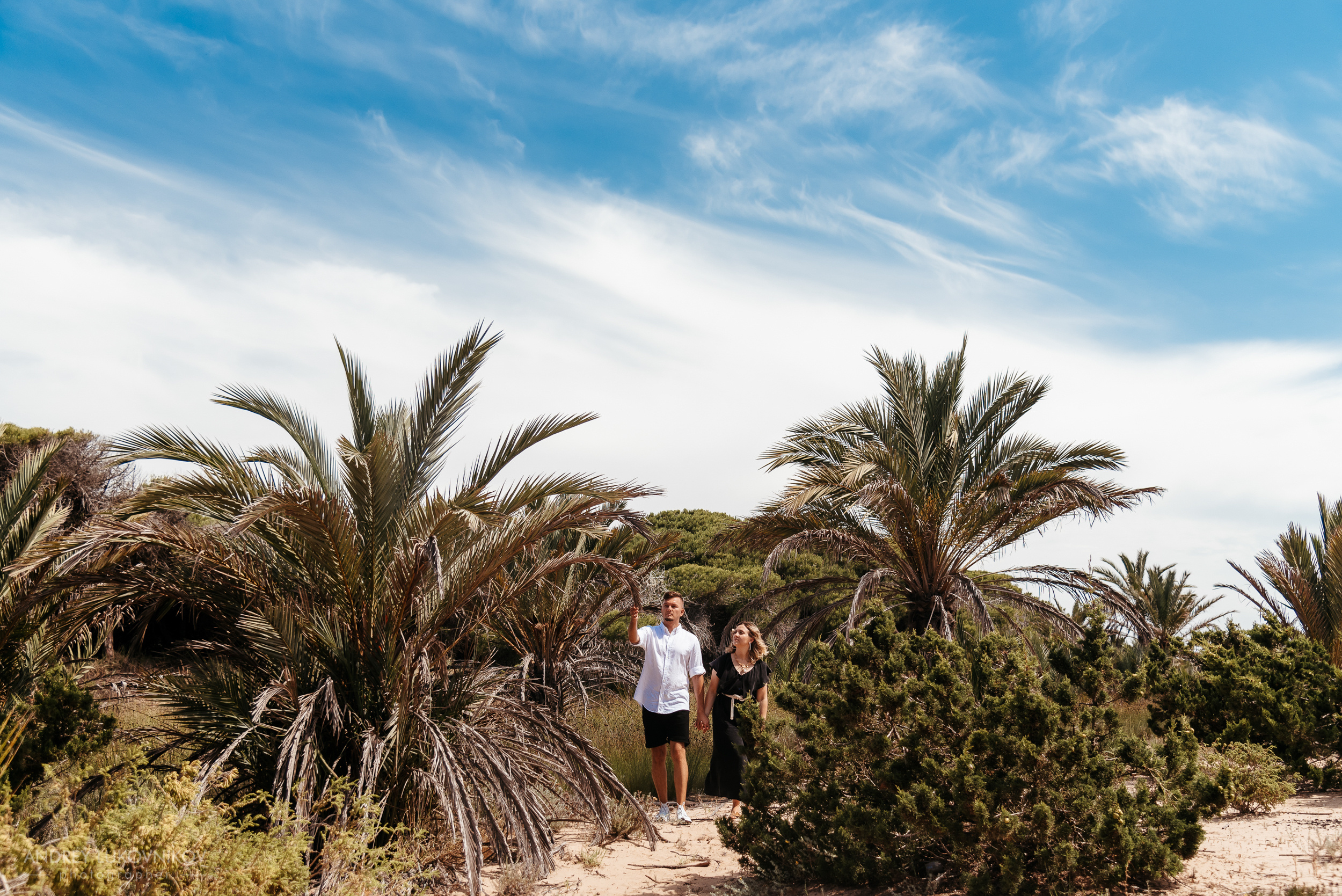 Семейный пикник в Испании