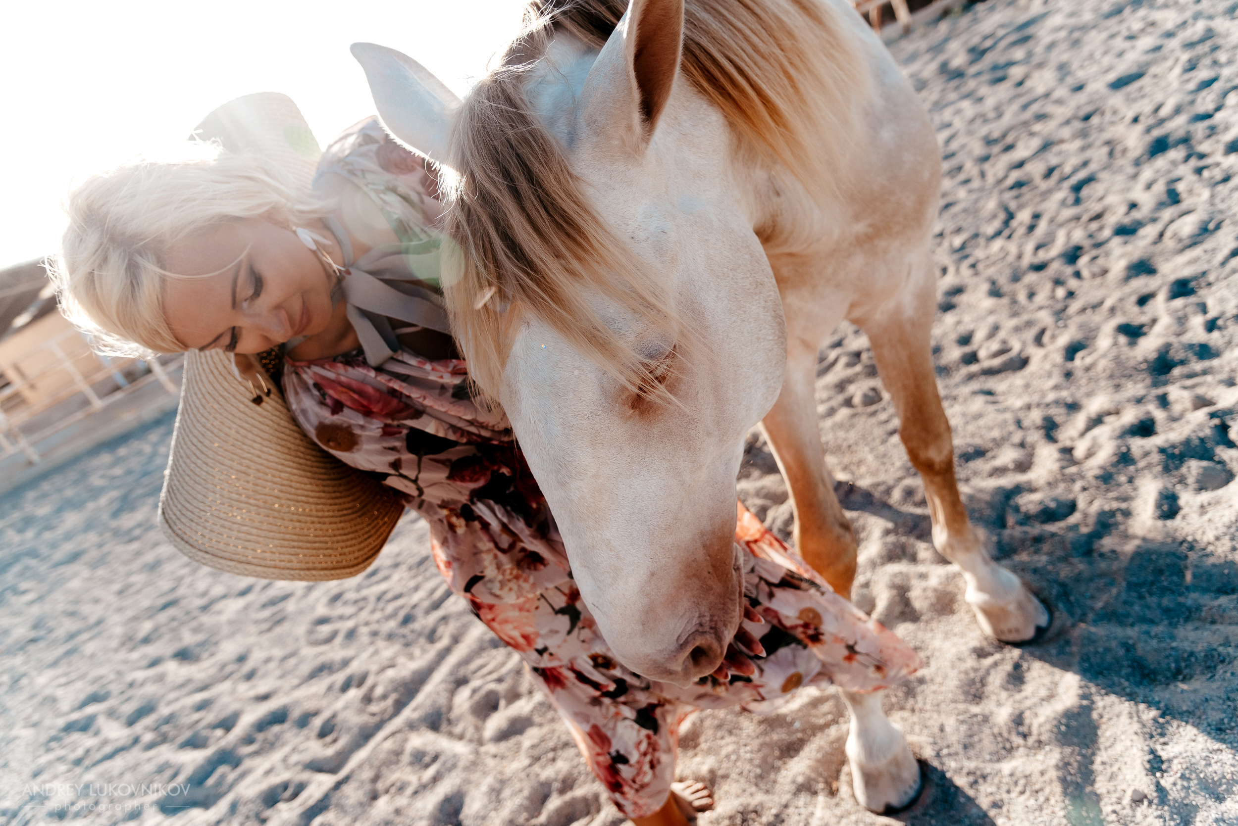 Фотосессия девушки с белой лошадью