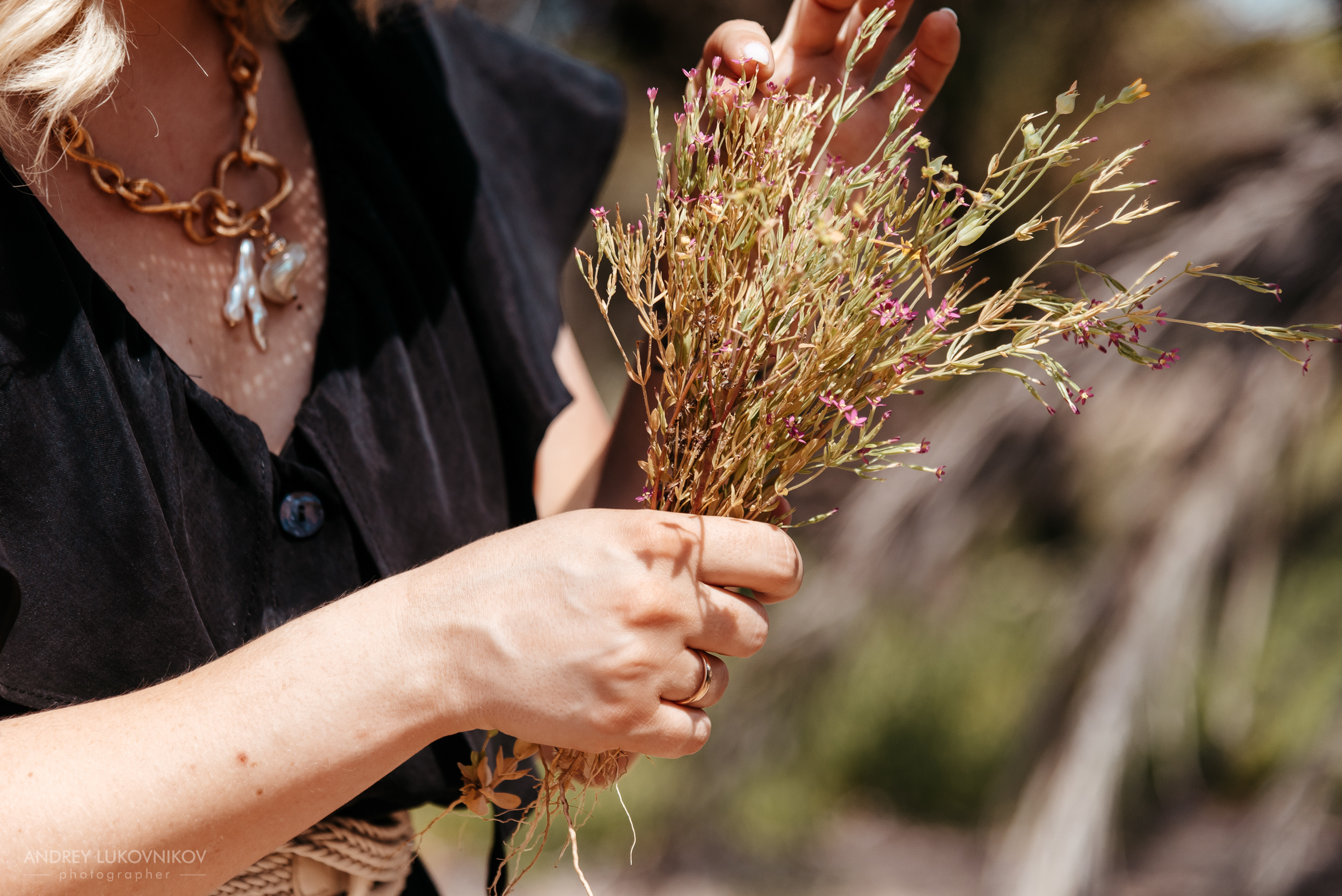 Семейный пикник в Испании