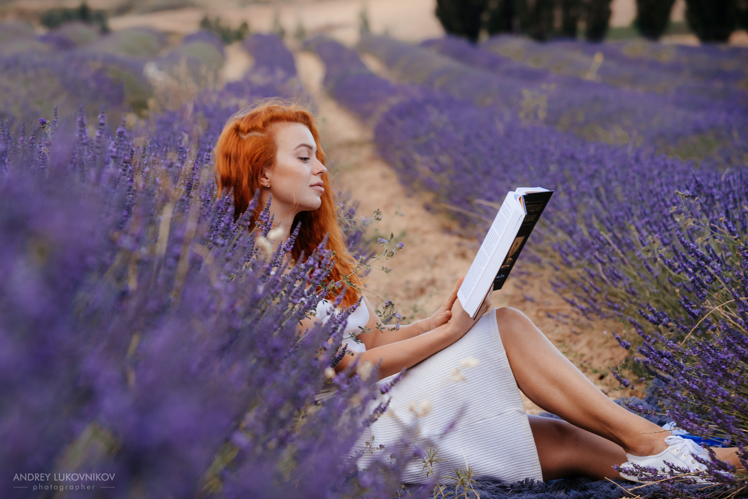 Фотосессия в лаванде. Испания