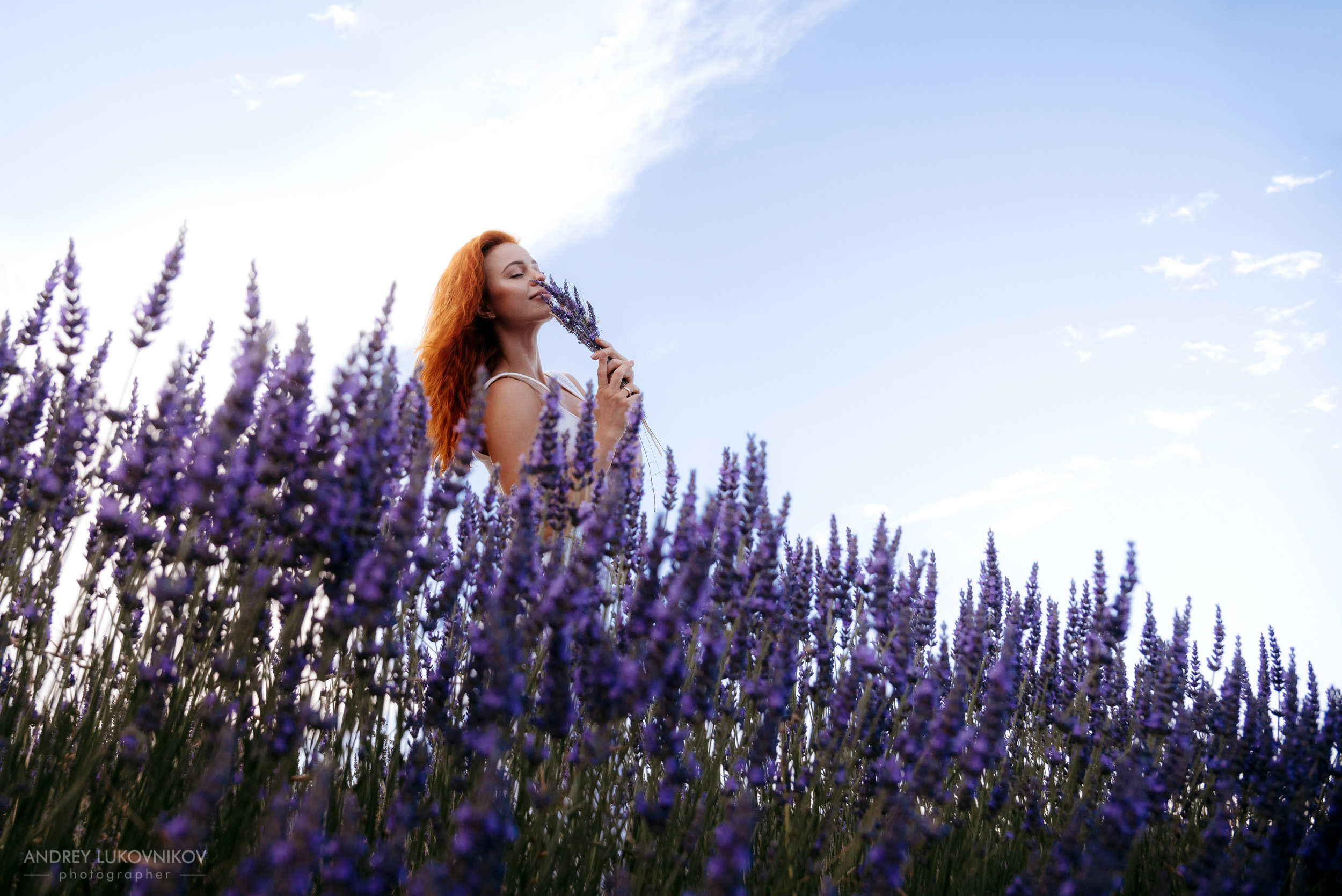 Фотосессия в лаванде. Испания