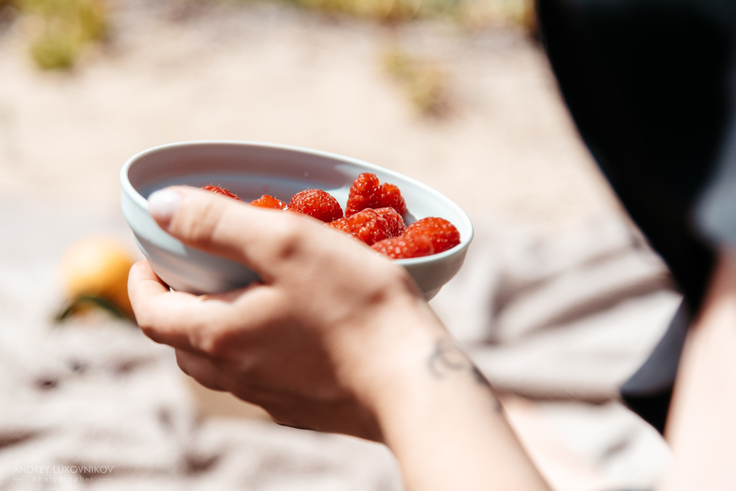 Семейный пикник в Испании