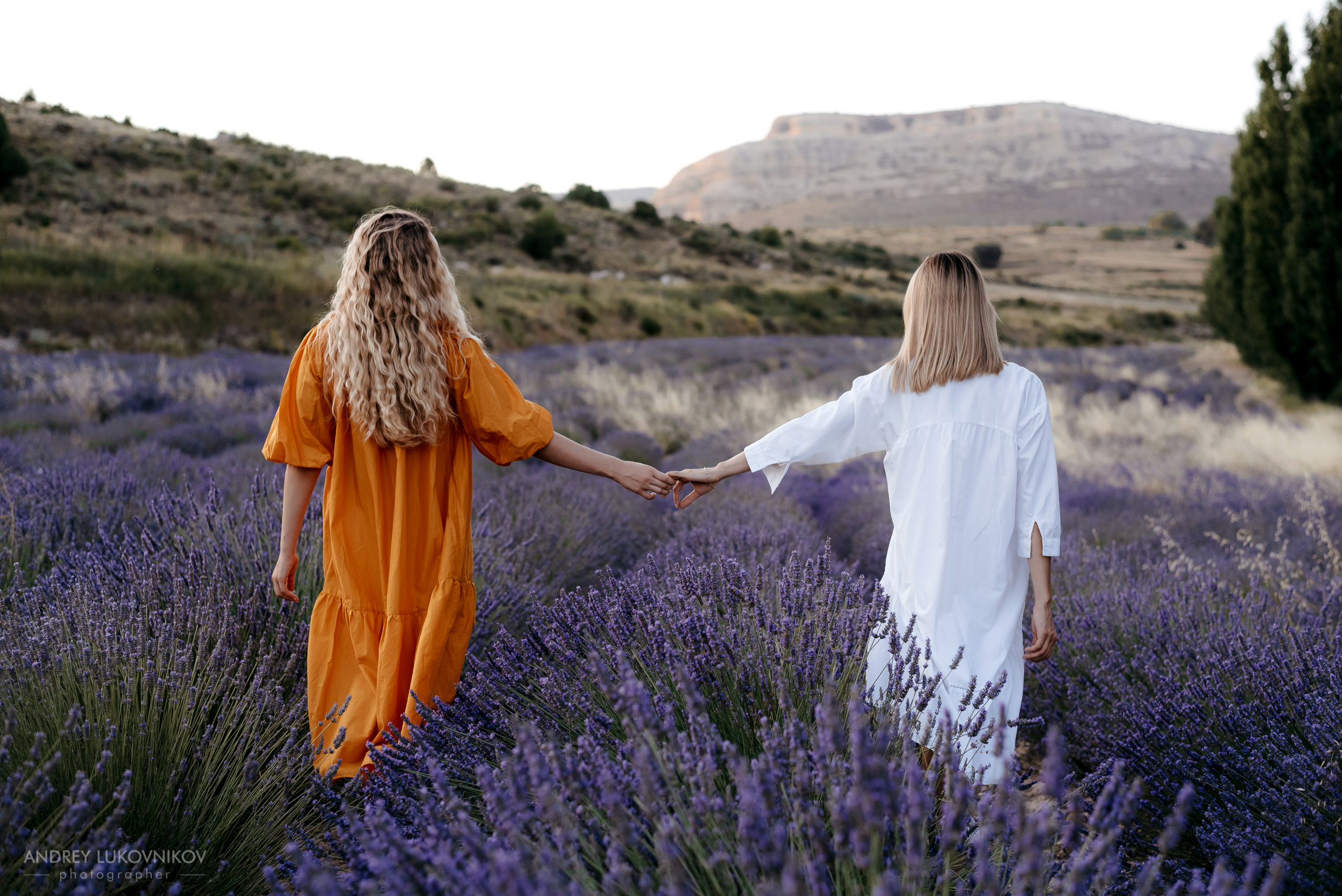 Три девушки в лавандовом поле