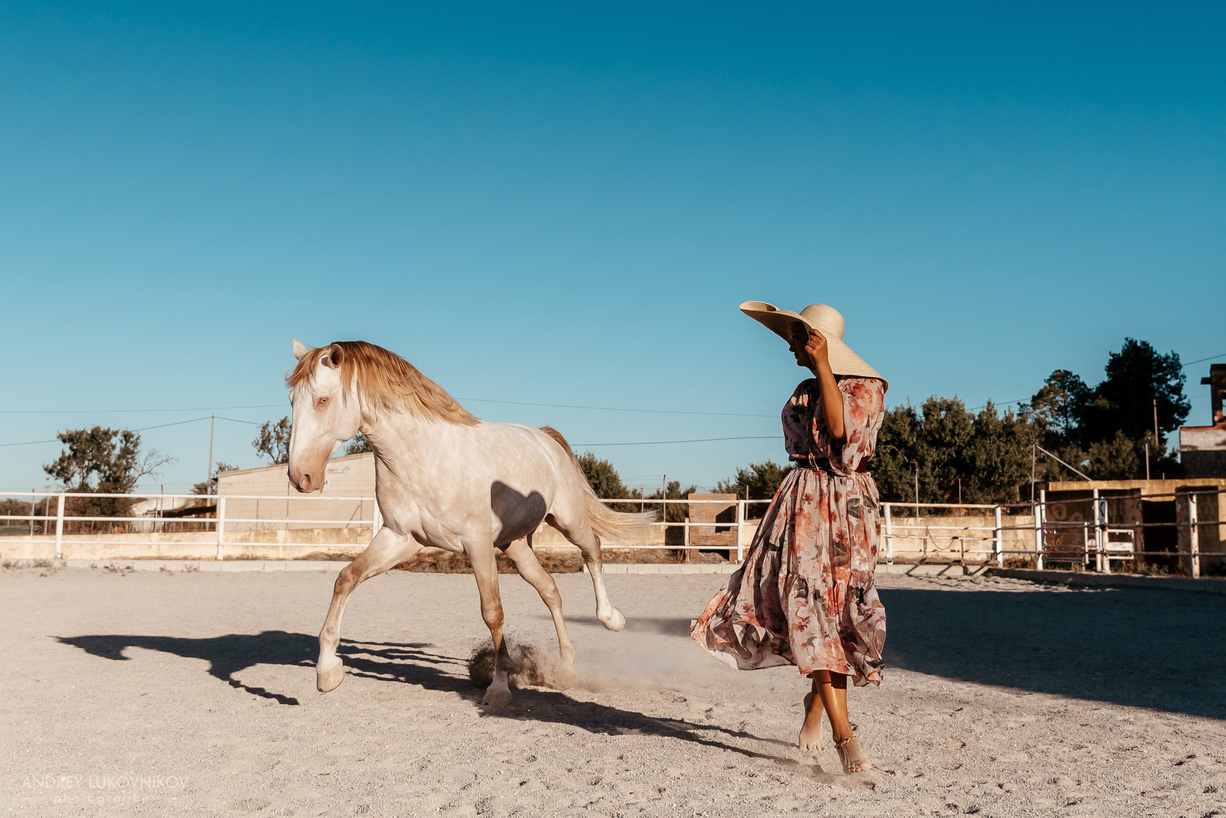 Фотосессия девушки с белой лошадью