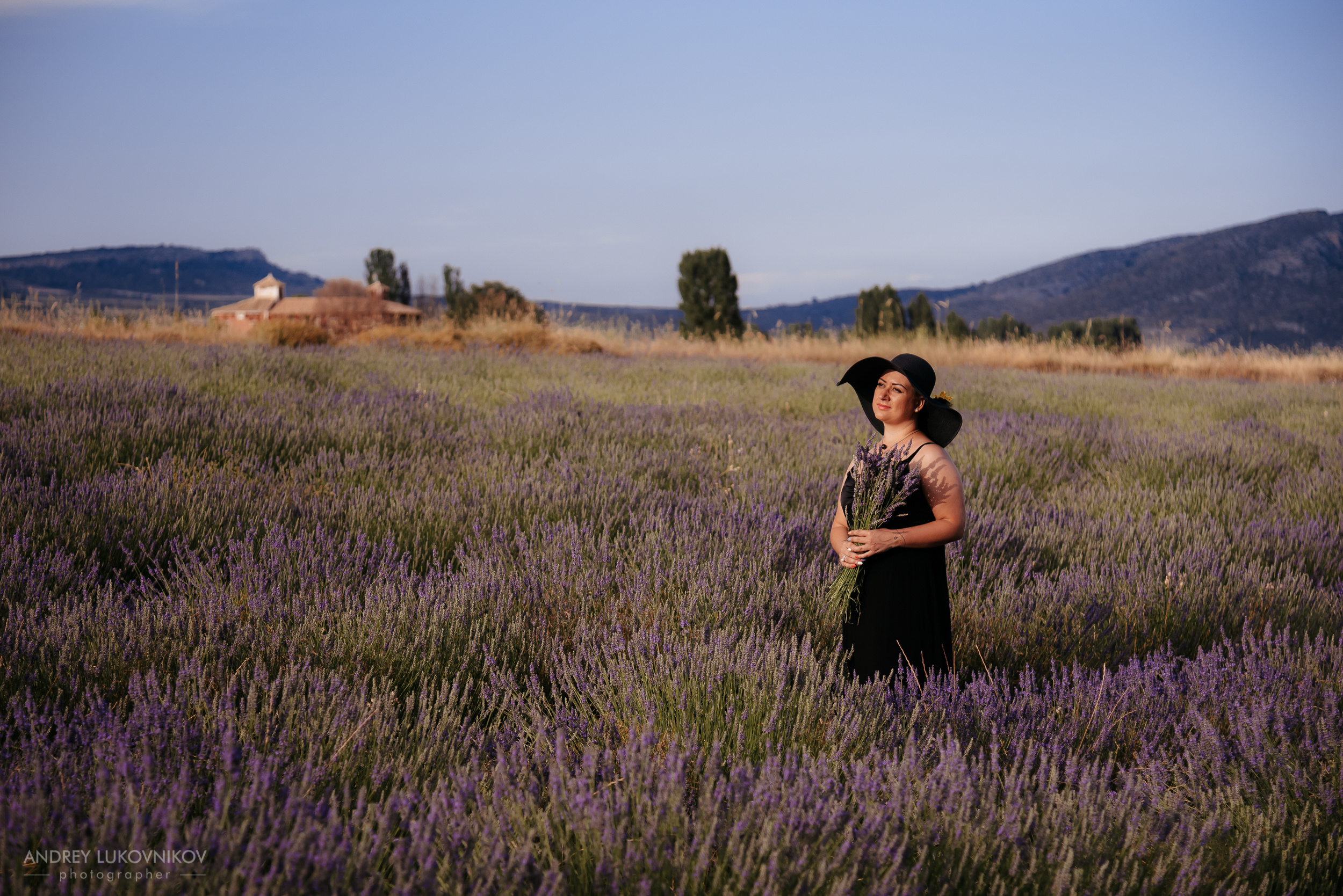 Фотосессия в лаванде. Испания