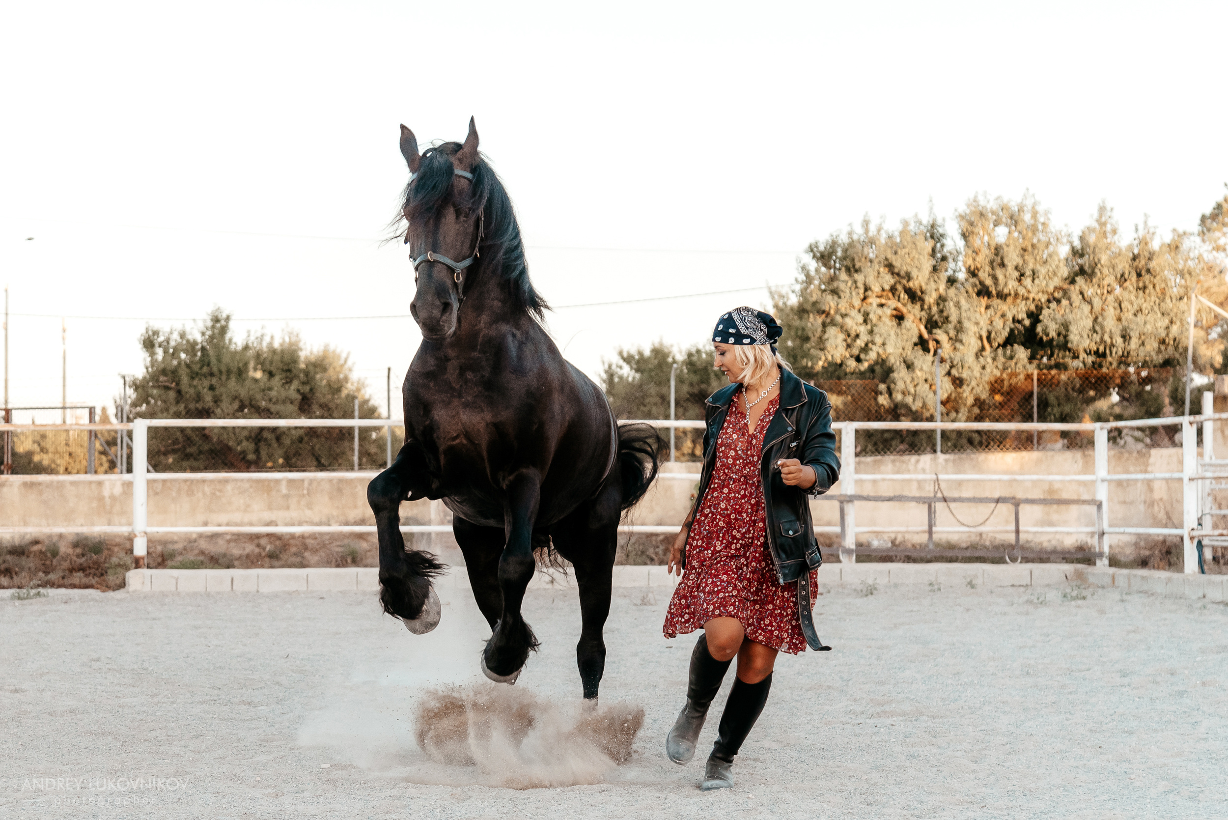 Фотосессия с лошадью в Торревьехе