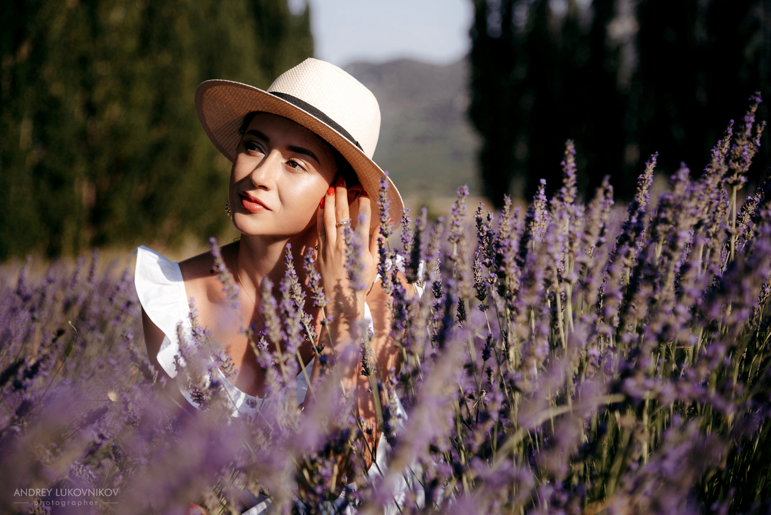 Love story in a Lavender field