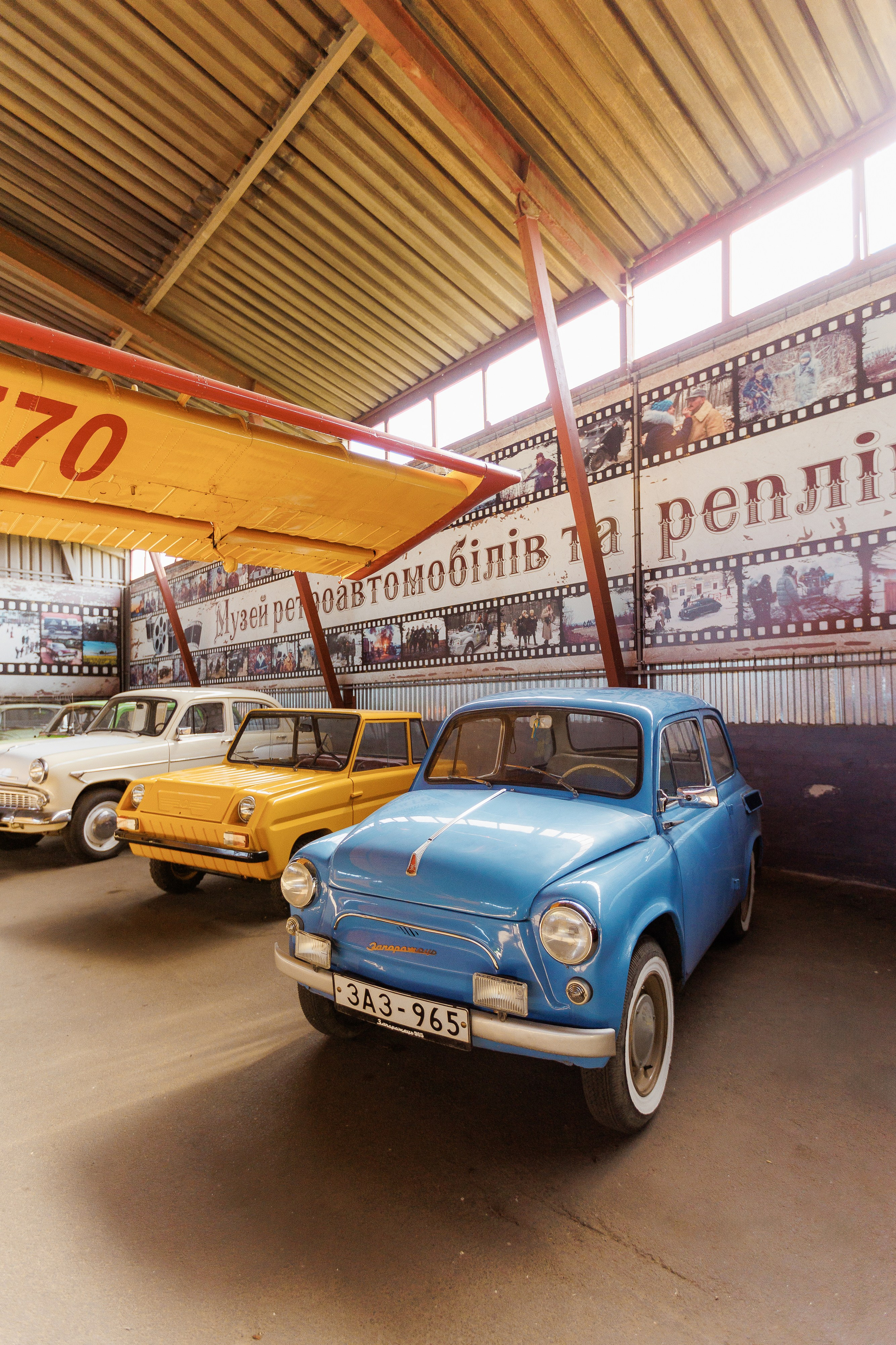 Екопарк Аміла. Ірина Терещук