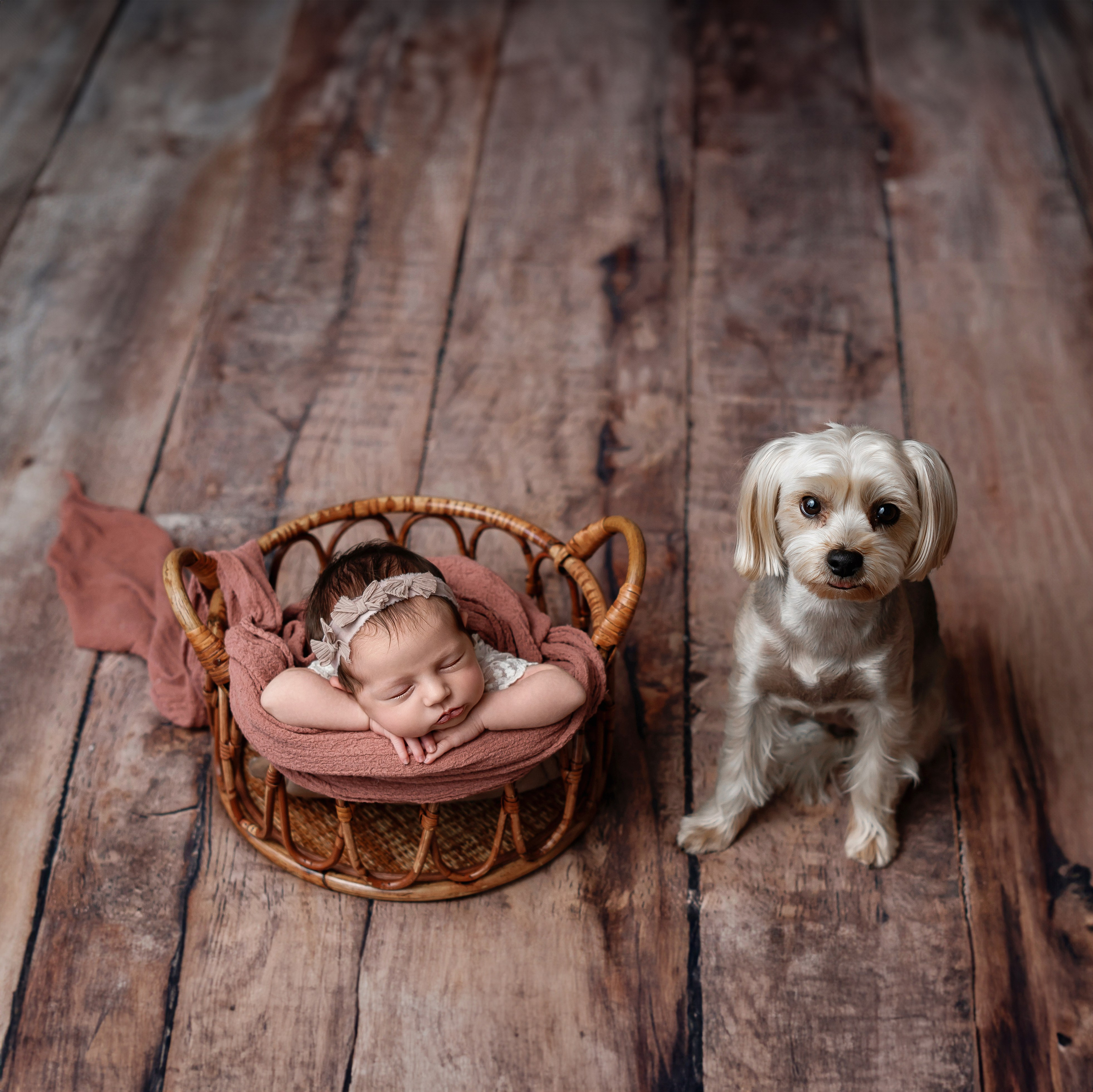 Fotografisanje novorođenčadi, beba, fotograf novorođenčeta u Beogradu. Fotografisanje novorođenčadi, beba, fotograf novorođenčeta u Beogradu